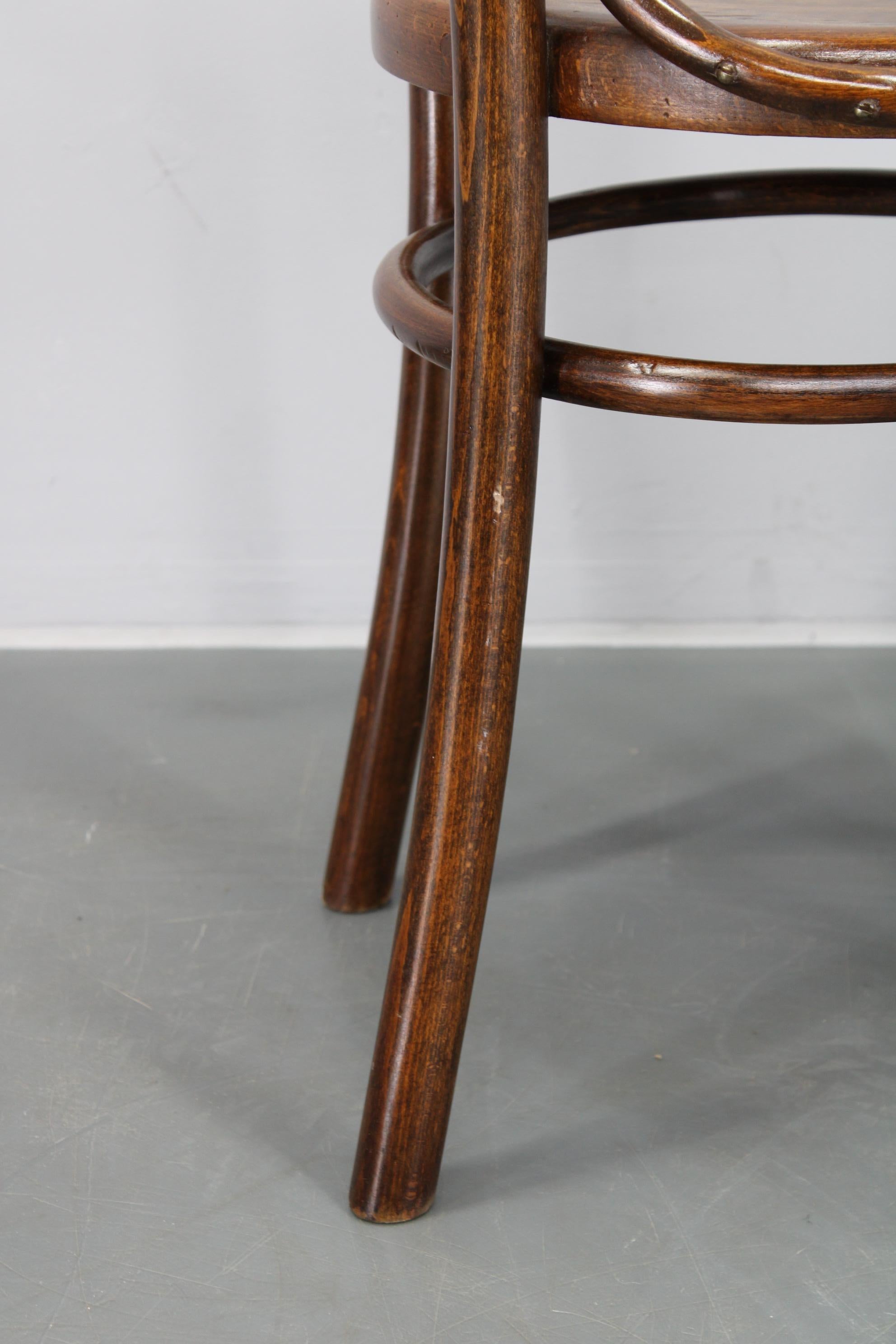 1930s Pair of Restore Beech Chairs by Thonet - Mundus, Czechoslovakia For Sale 7