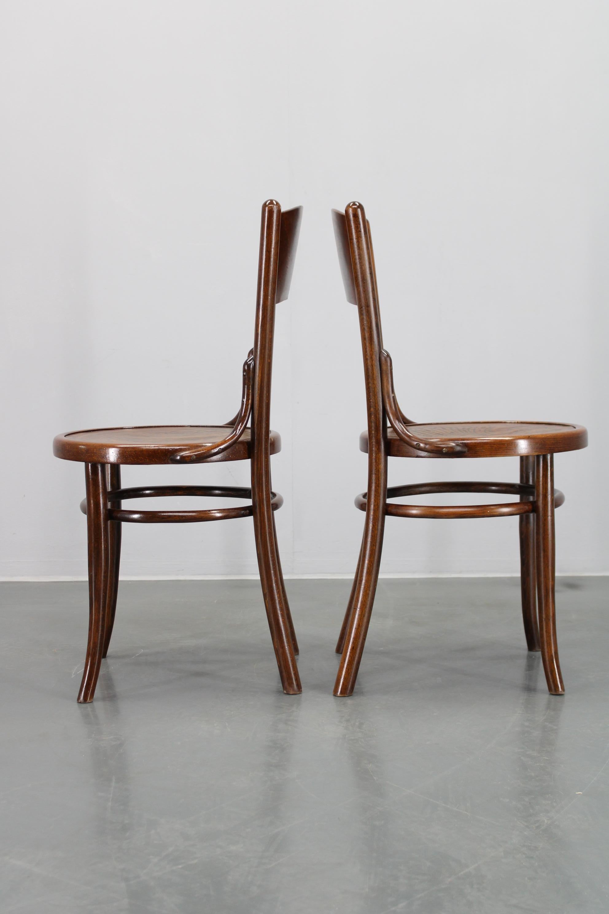 1930s Pair of Restore Beech Chairs by Thonet - Mundus, Czechoslovakia For Sale 8