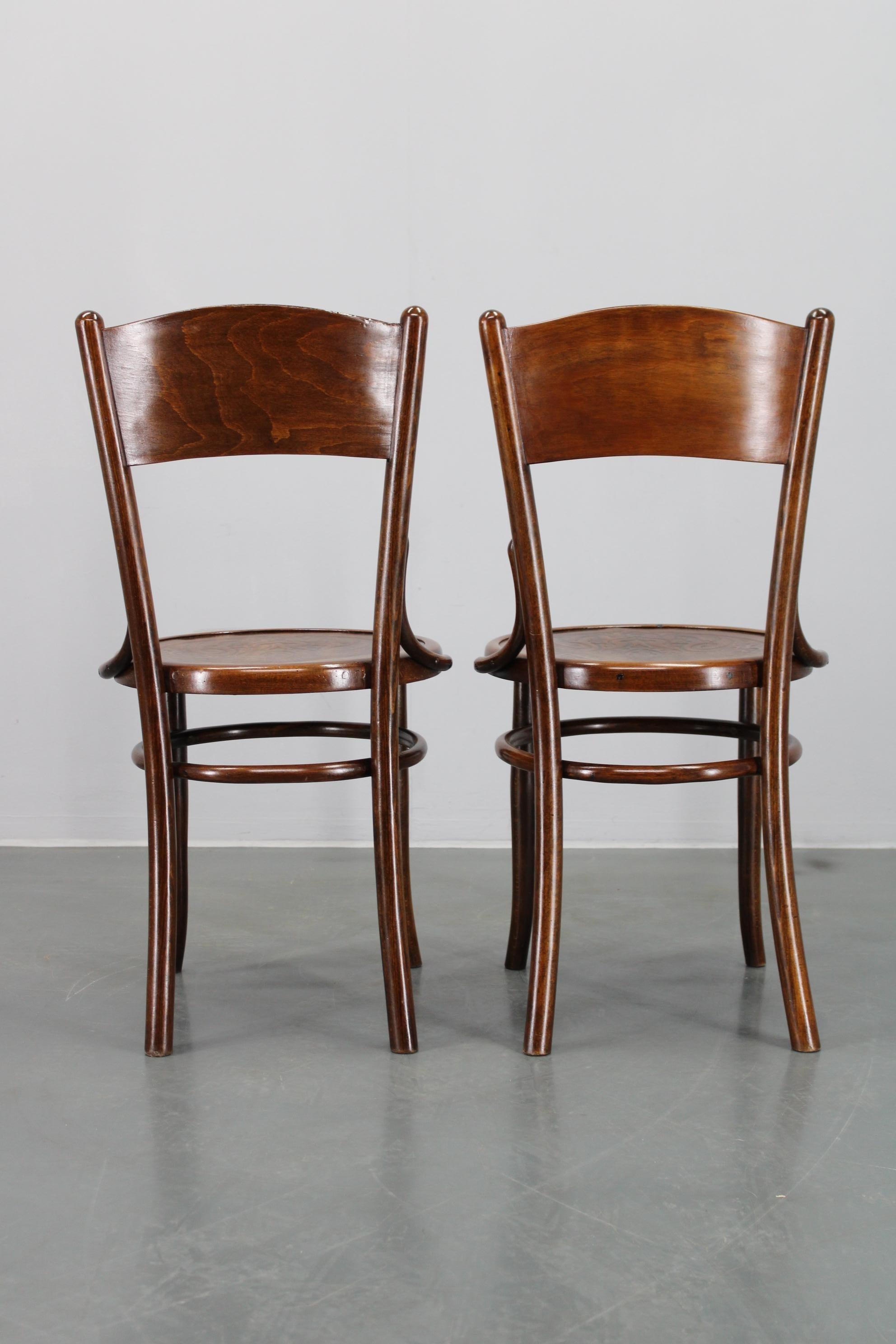 1930s Pair of Restore Beech Chairs by Thonet - Mundus, Czechoslovakia For Sale 9