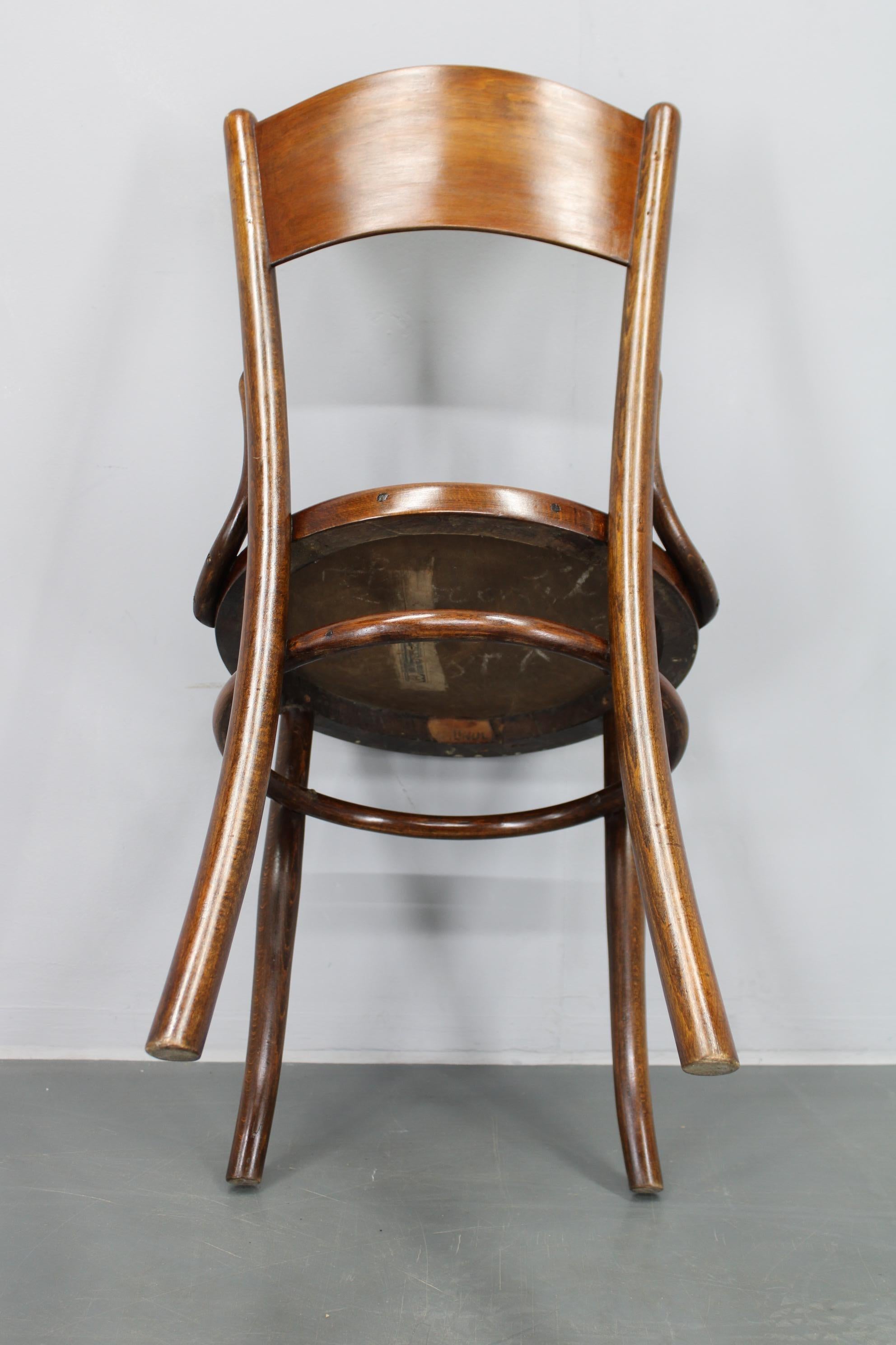 1930s Pair of Restore Beech Chairs by Thonet - Mundus, Czechoslovakia For Sale 12