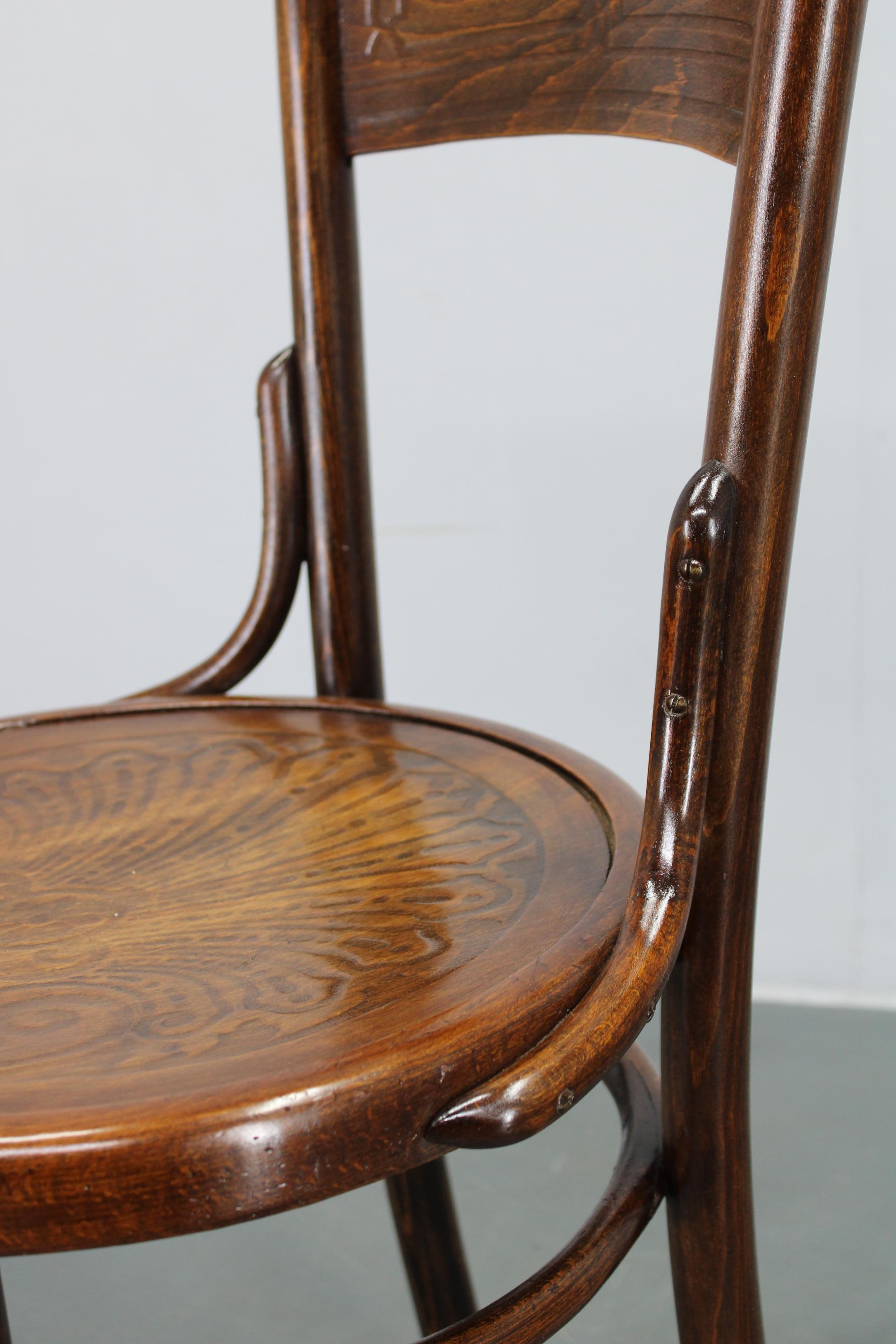 1930s Pair of Restore Beech Chairs by Thonet - Mundus, Czechoslovakia In Good Condition For Sale In Praha, CZ