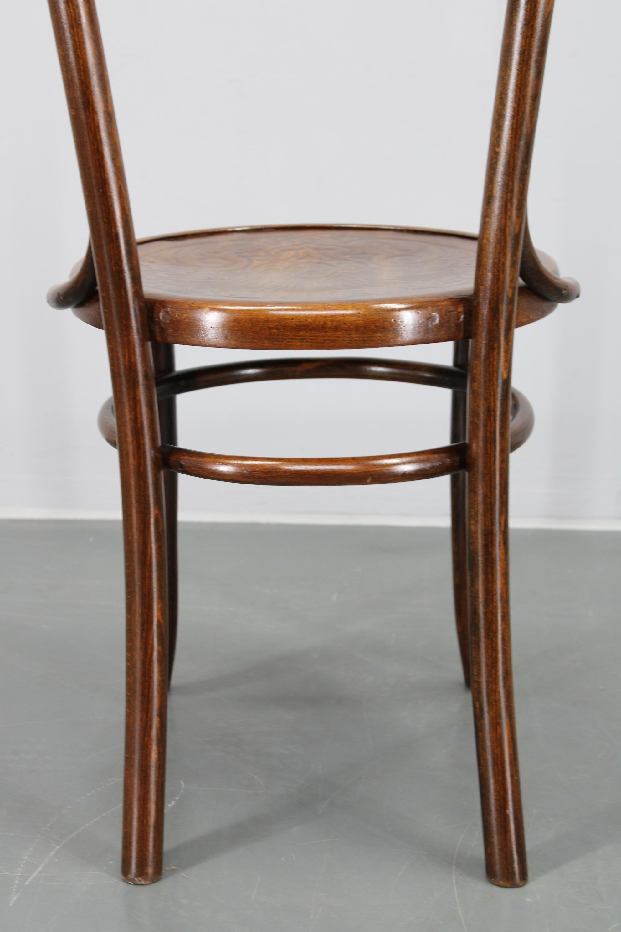 1930s Pair of Restore Beech Chairs by Thonet - Mundus, Czechoslovakia For Sale 2