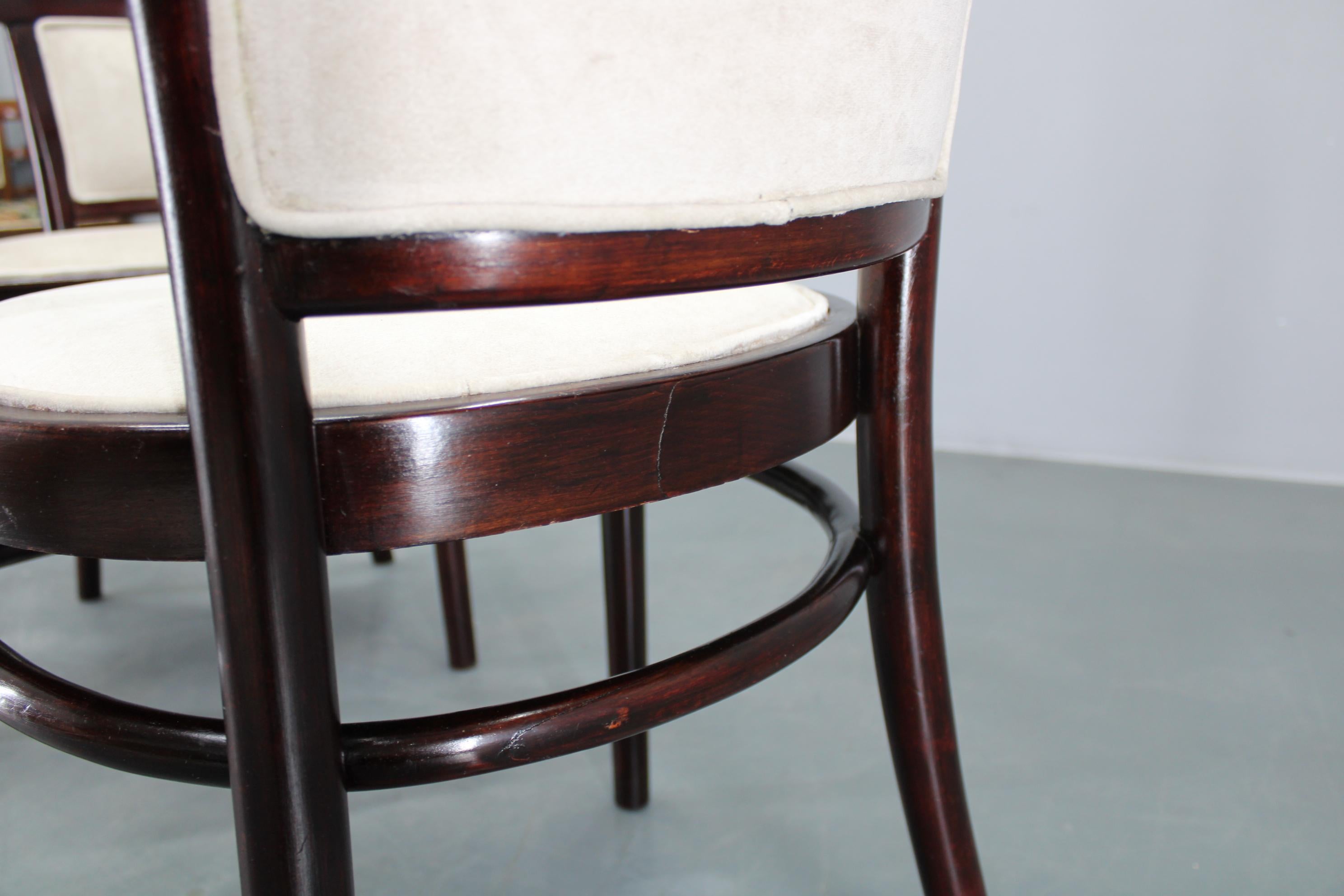 1930s Pair of Restored Thonet Armchairs, Czechoslovakia For Sale 8