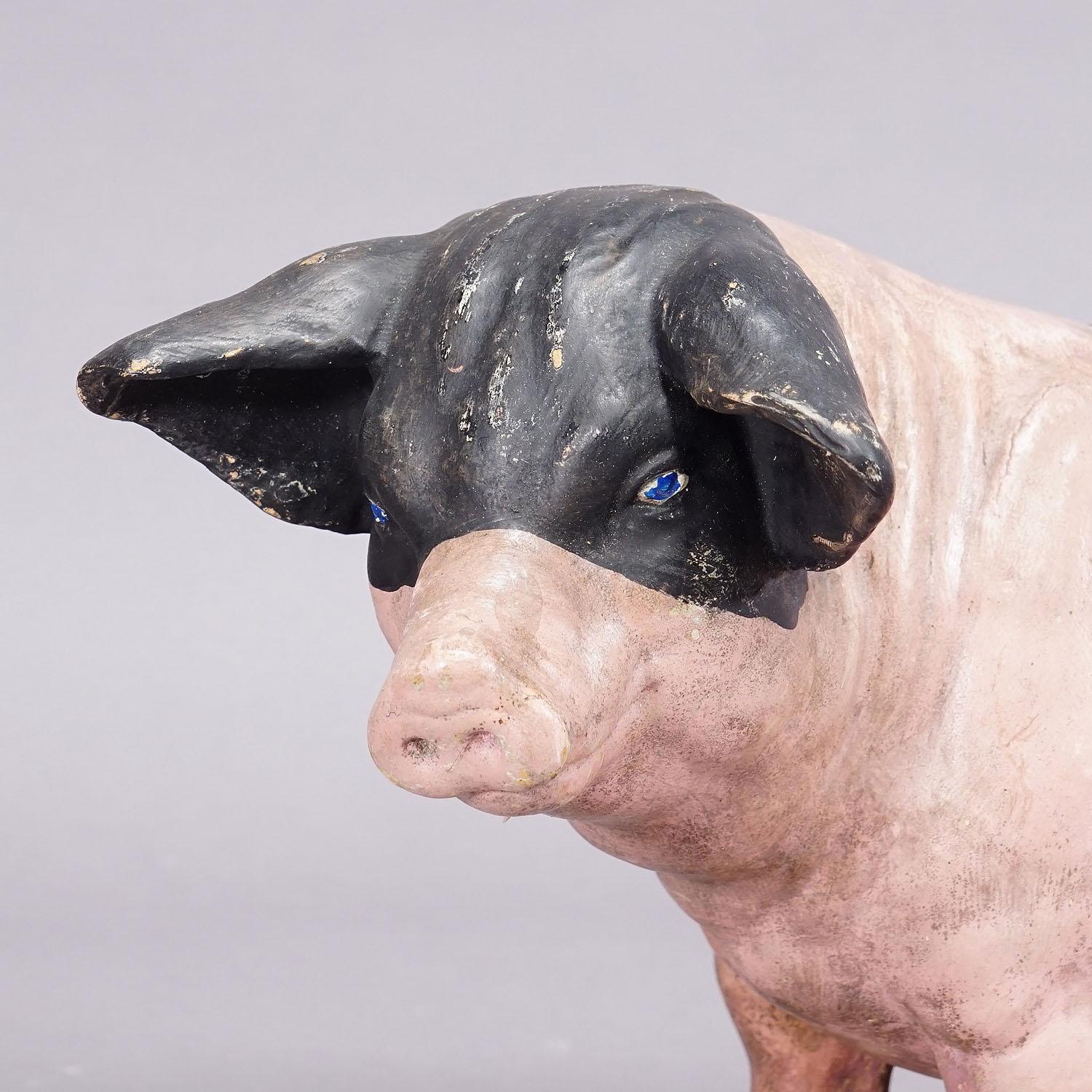 Victorian 1930s Swabian Hallic Country Pig Made of Terracotta For Sale