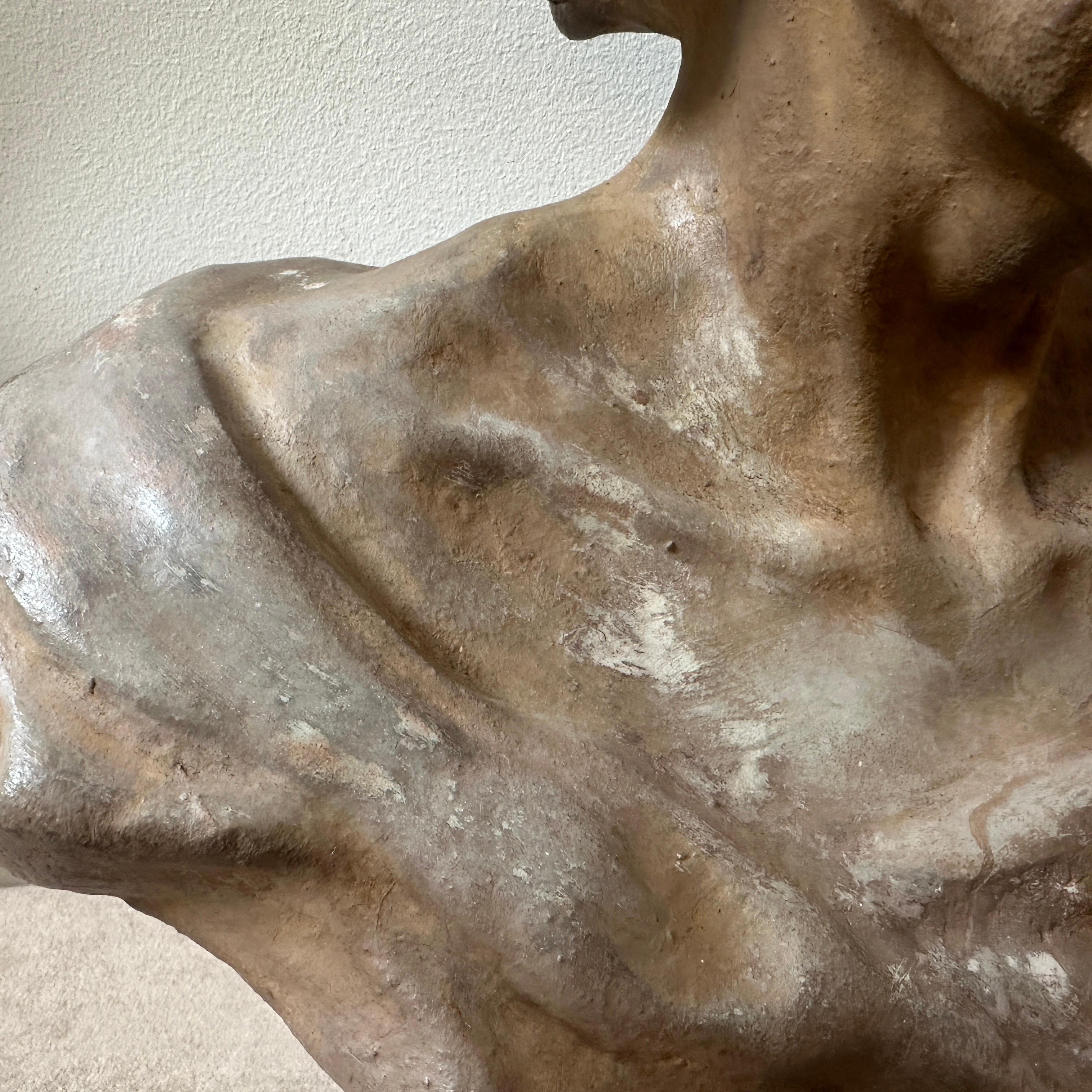 1930s Terracotta Sicilian Bust of Seneca the Philosopher For Sale 3