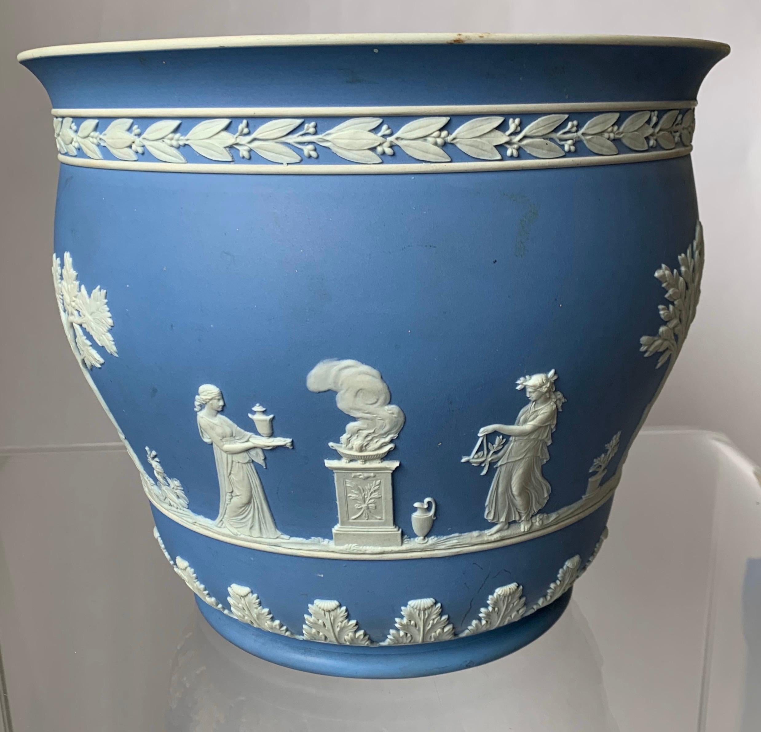 wedgwood pot