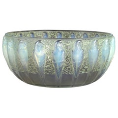 1931 René Lalique Perruches Bowl Opalescent Glass with Green Patina, Parrots