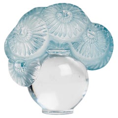 1931 René Lalique, Verre à Soucis à Patine Bleue, Fleurs