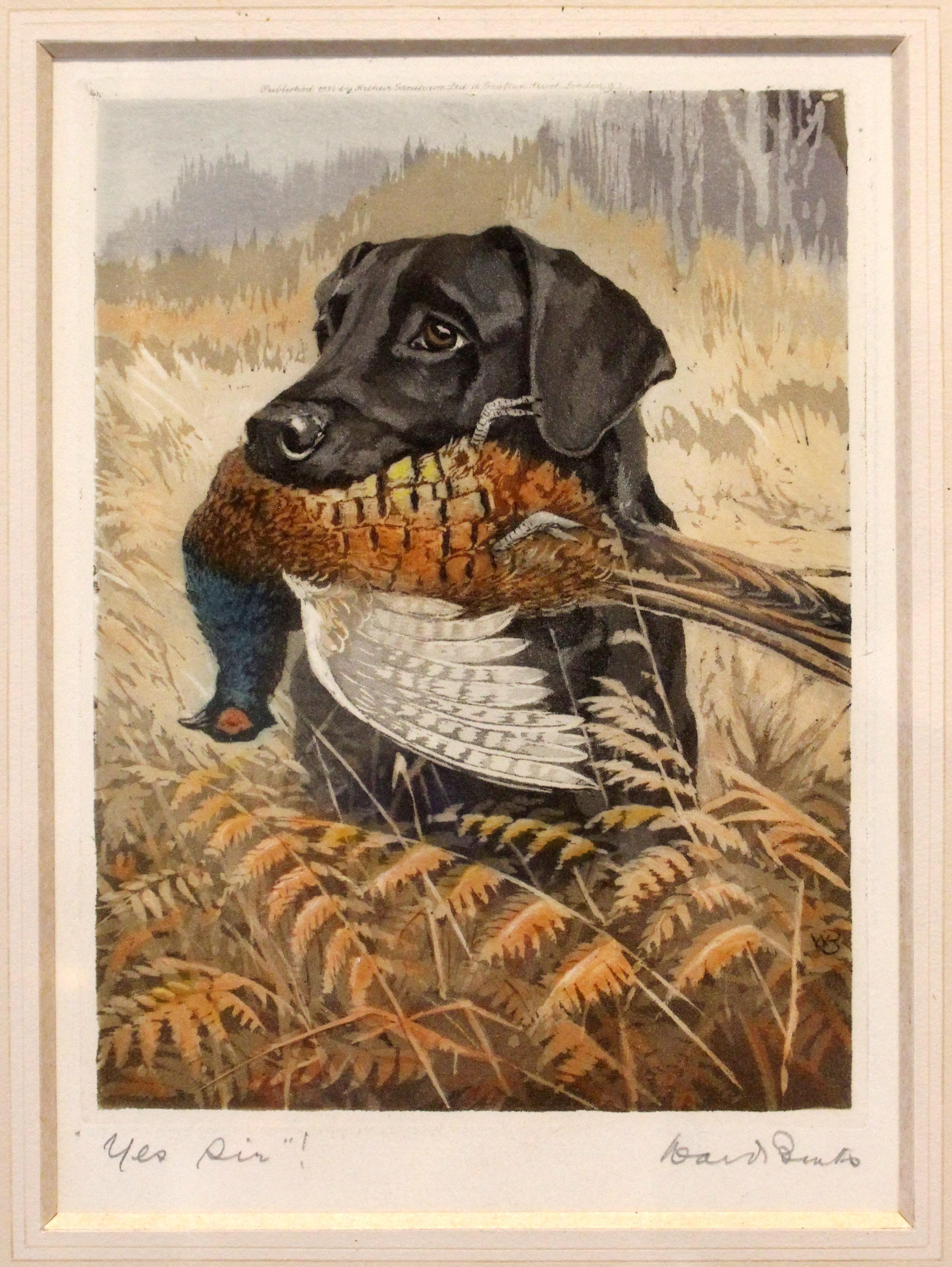 1934 Englische Aquatinta eines Labradors mit Fasan von R. Ward Binks (Jagdkunst) im Angebot
