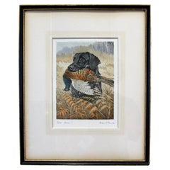 1934 Englische Aquatinta eines Labradors mit Fasan von R. Ward Binks