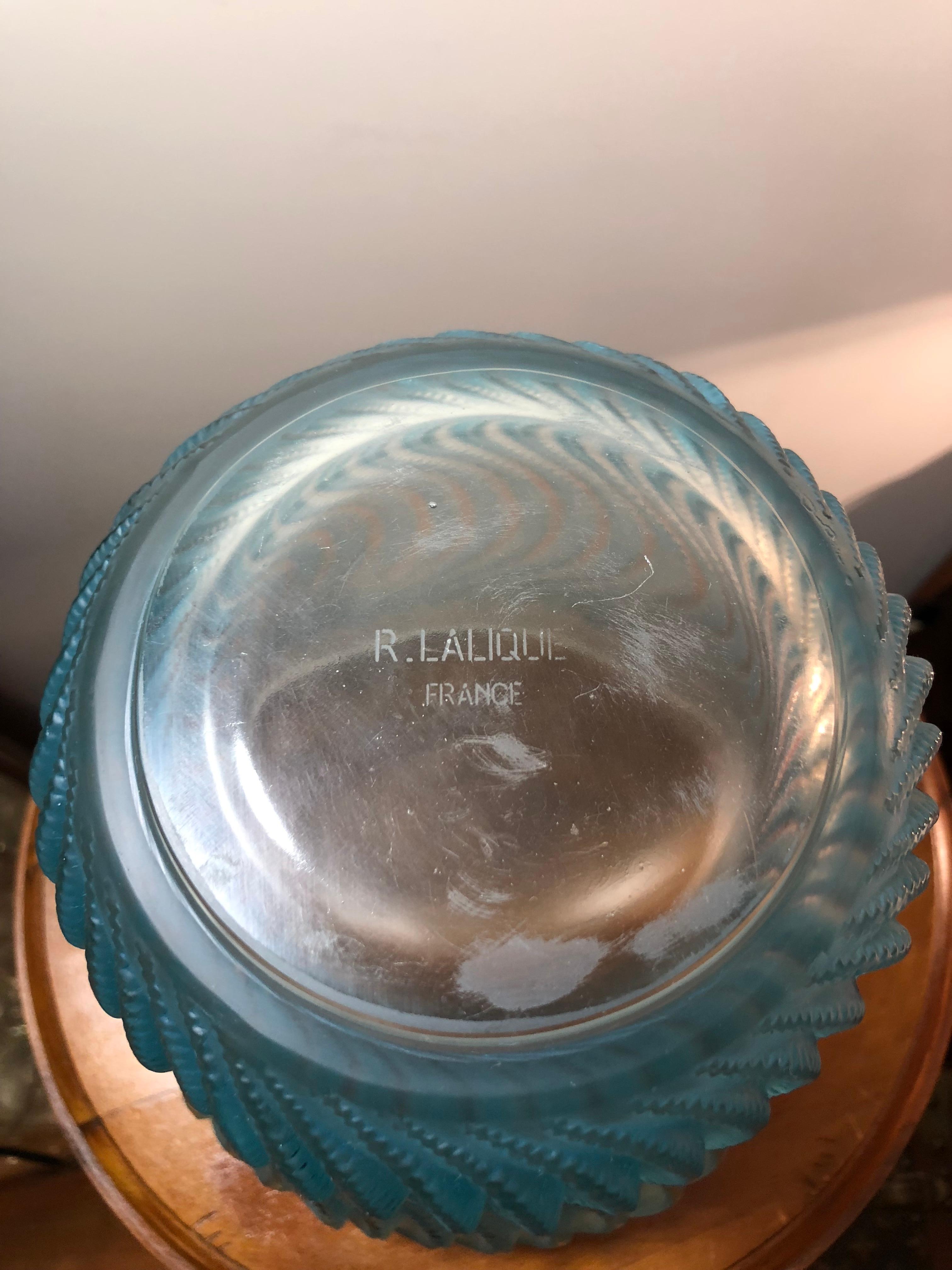 Mid-20th Century 1934 René Lalique Actinia Vase in Frosted Glass with Blue Patina