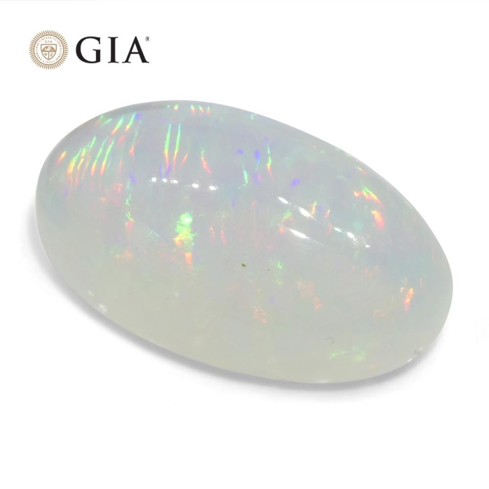 19.34 Karat ovaler weißer Opal, GIA-zertifiziert Äthiopien 7