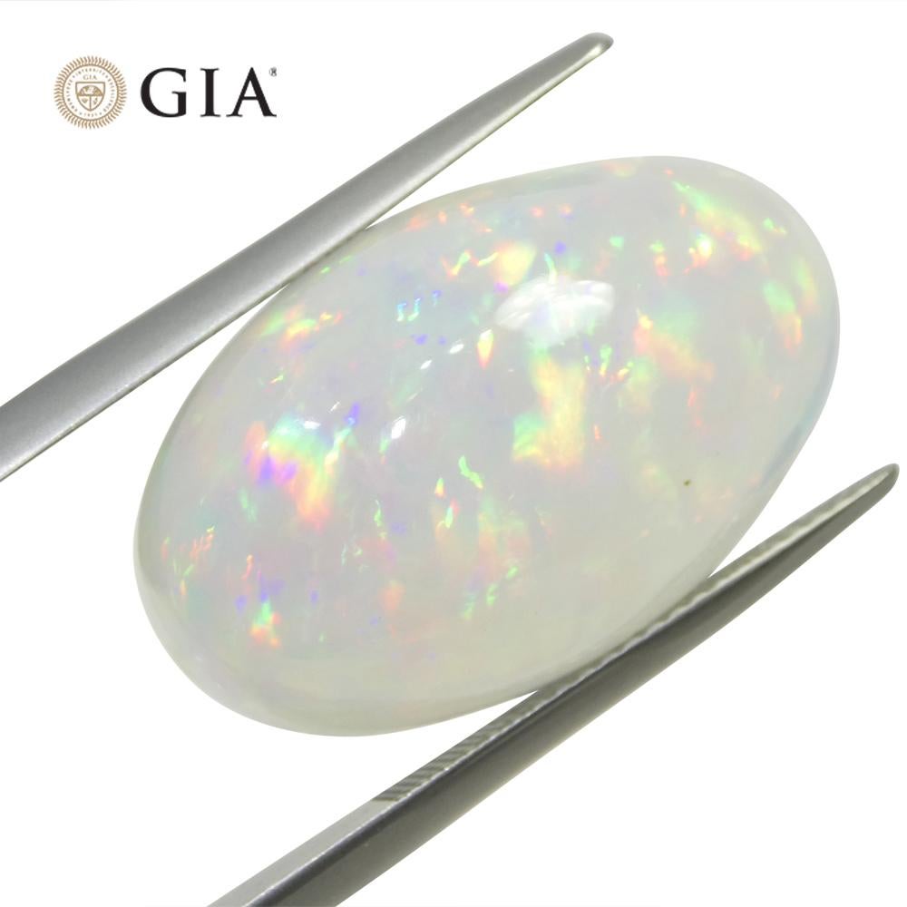 19.34 Karat ovaler weißer Opal, GIA-zertifiziert Äthiopien 11