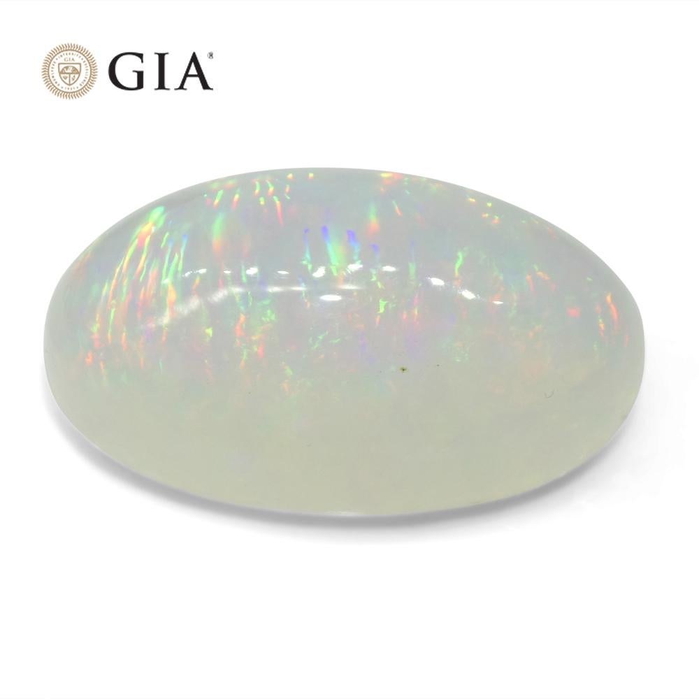 19.34 Karat ovaler weißer Opal, GIA-zertifiziert Äthiopien 1