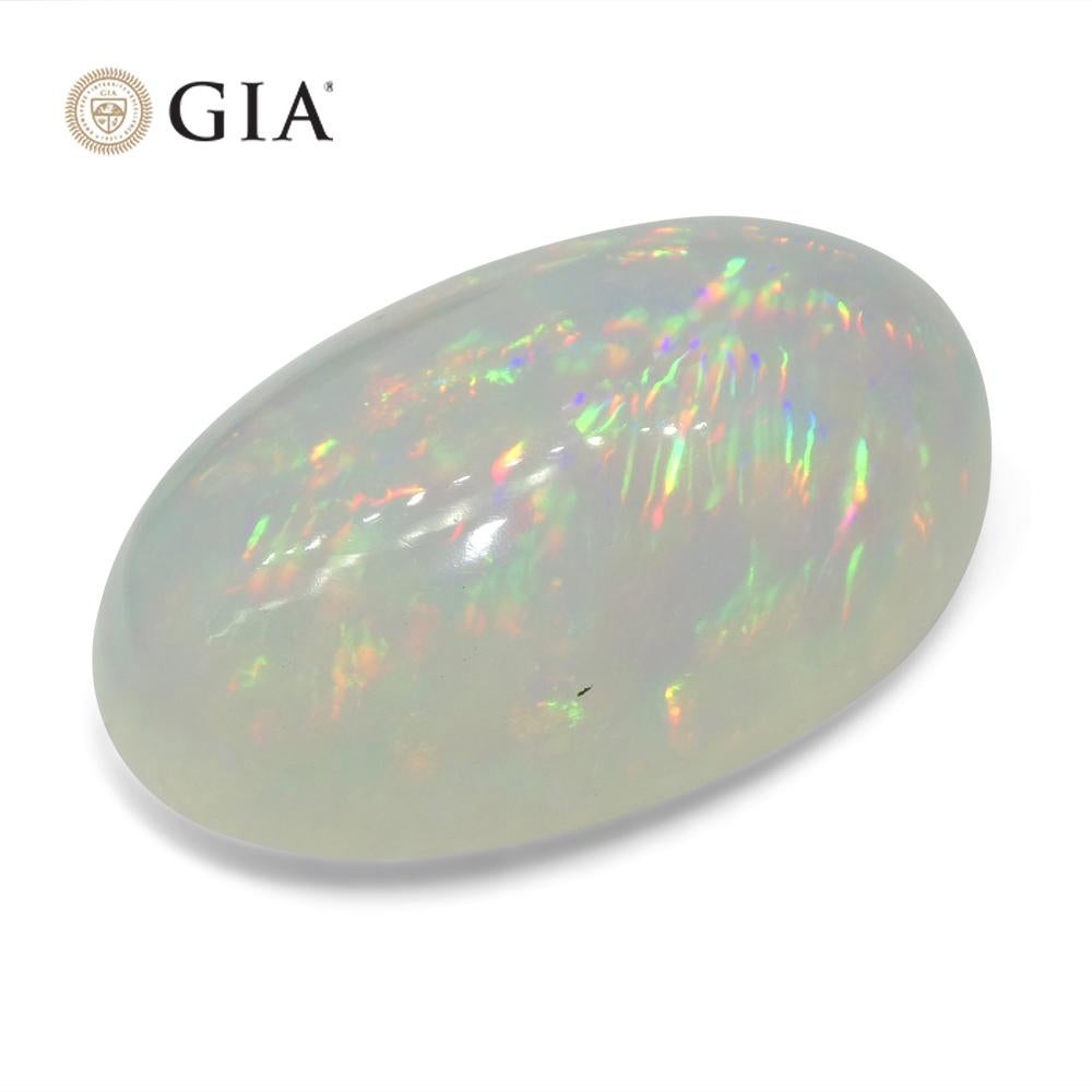 19.34 Karat ovaler weißer Opal, GIA-zertifiziert Äthiopien 3