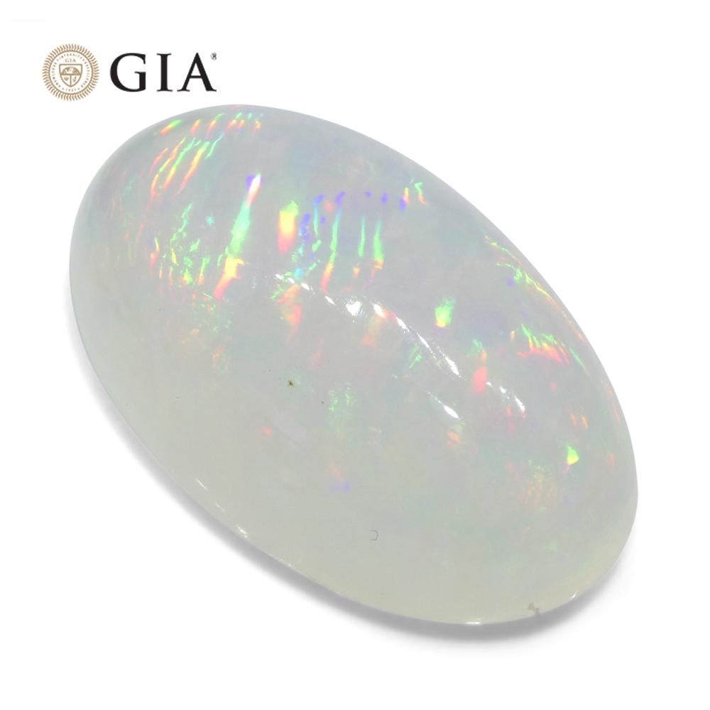 19.34 Karat ovaler weißer Opal, GIA-zertifiziert Äthiopien 4