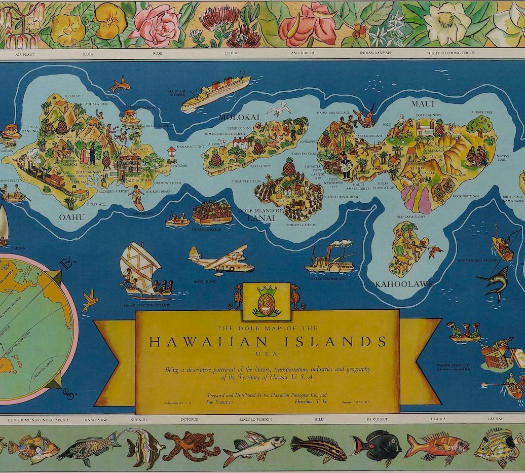 dole va map