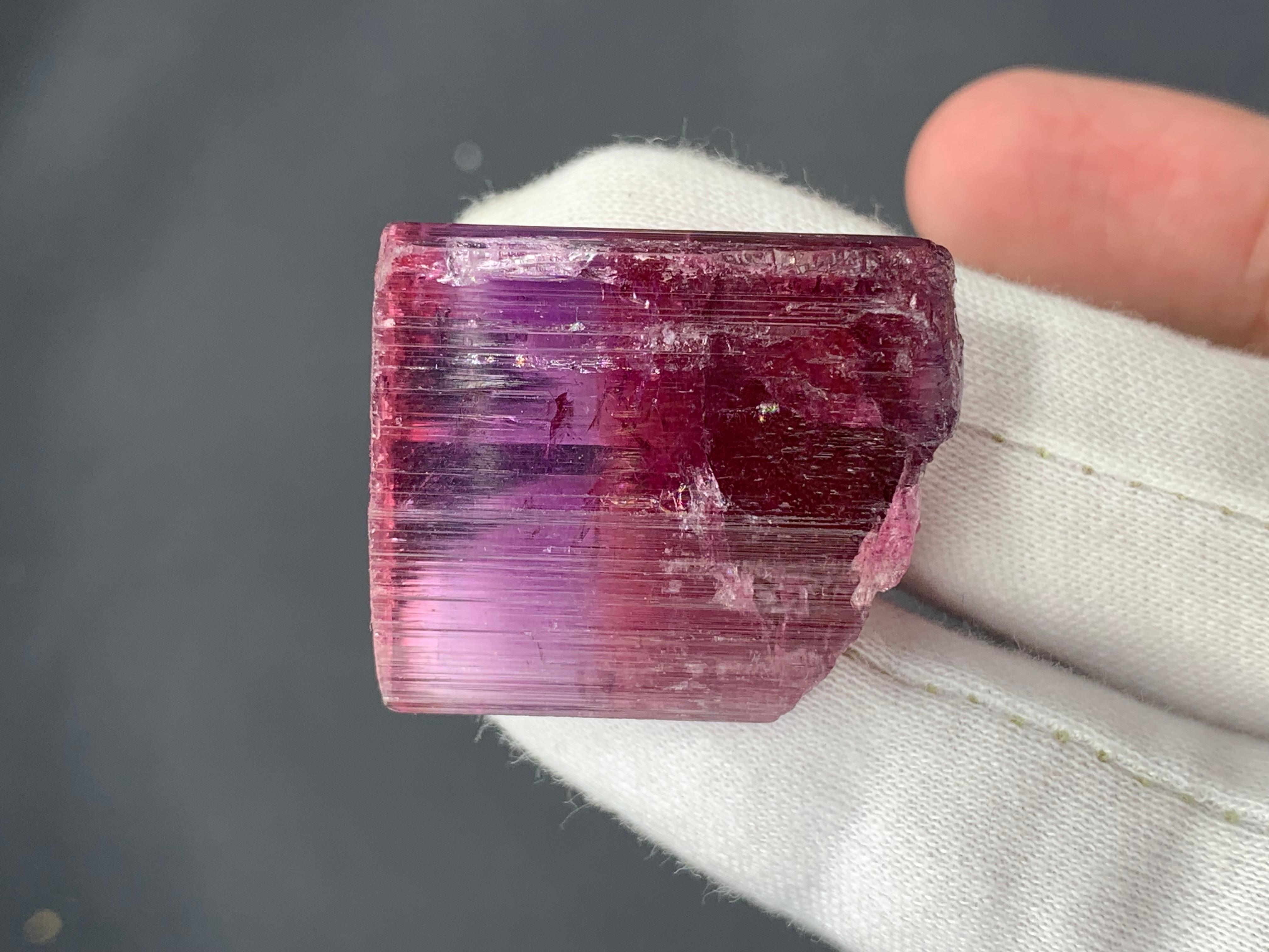 Stile Adam 19,38 grammi di delizioso cristallo naturale di tormalina bicolore di Paprok, Afghanistan in vendita
