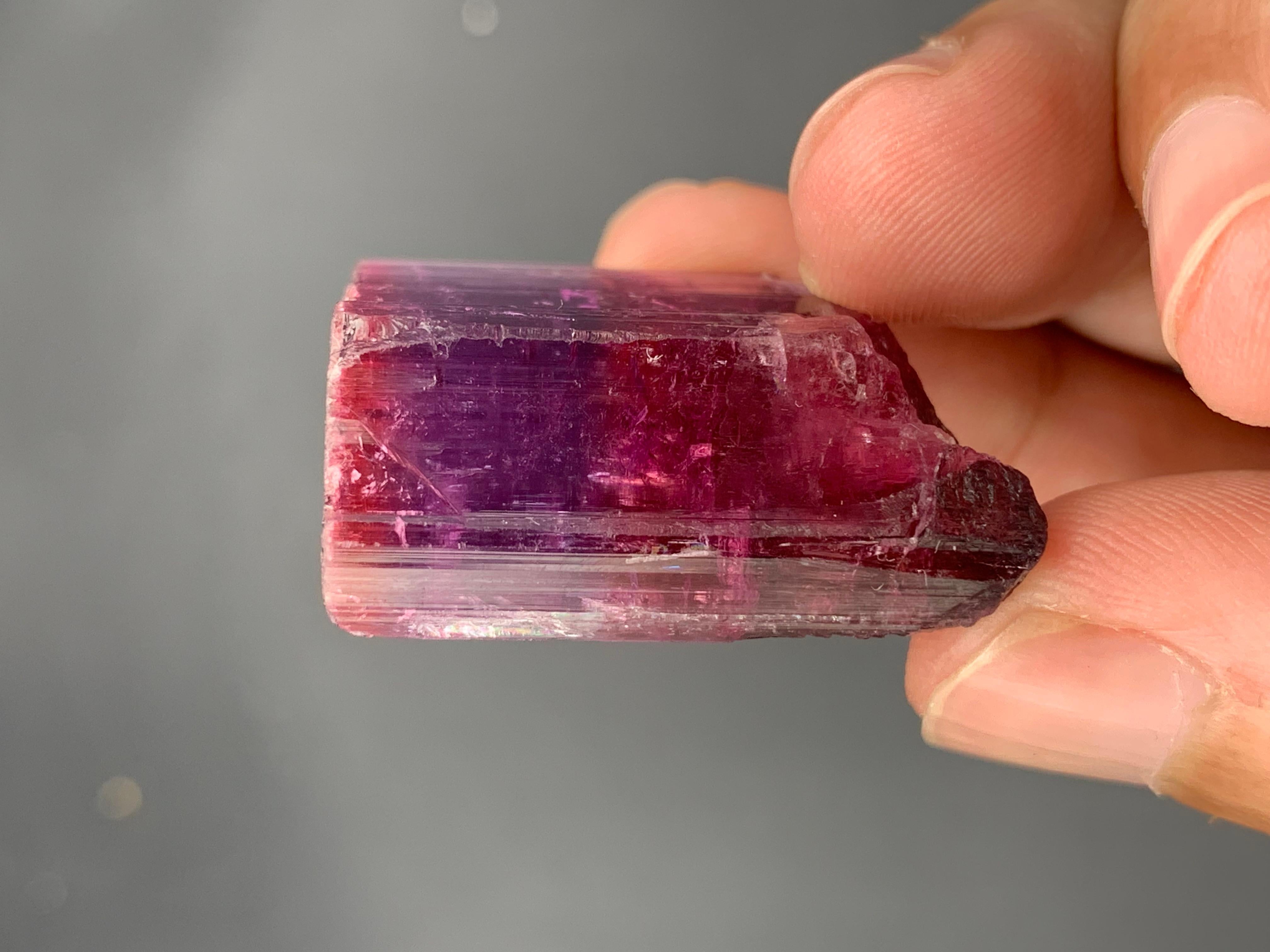 Afghano 19,38 grammi di delizioso cristallo naturale di tormalina bicolore di Paprok, Afghanistan in vendita