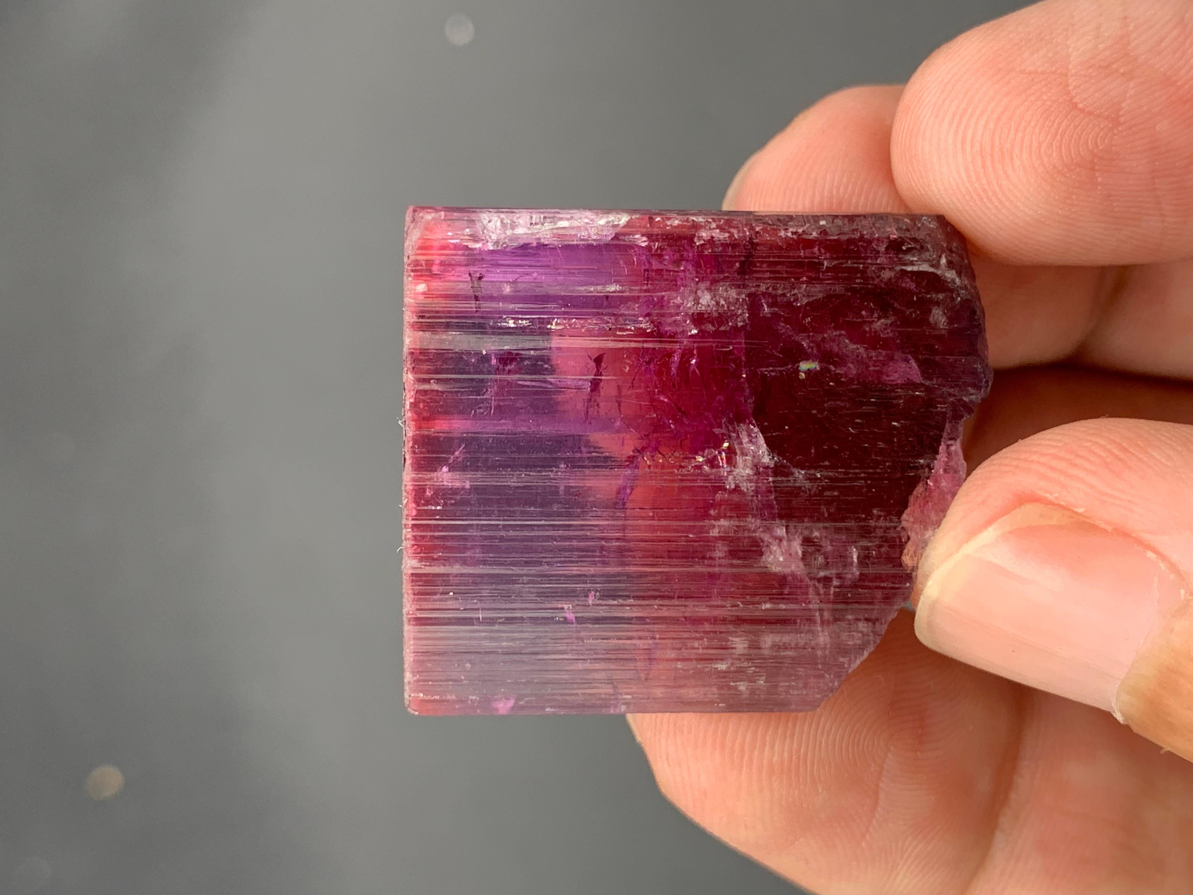 19,38 grammi di delizioso cristallo naturale di tormalina bicolore di Paprok, Afghanistan In condizioni ottime in vendita a Peshawar, PK