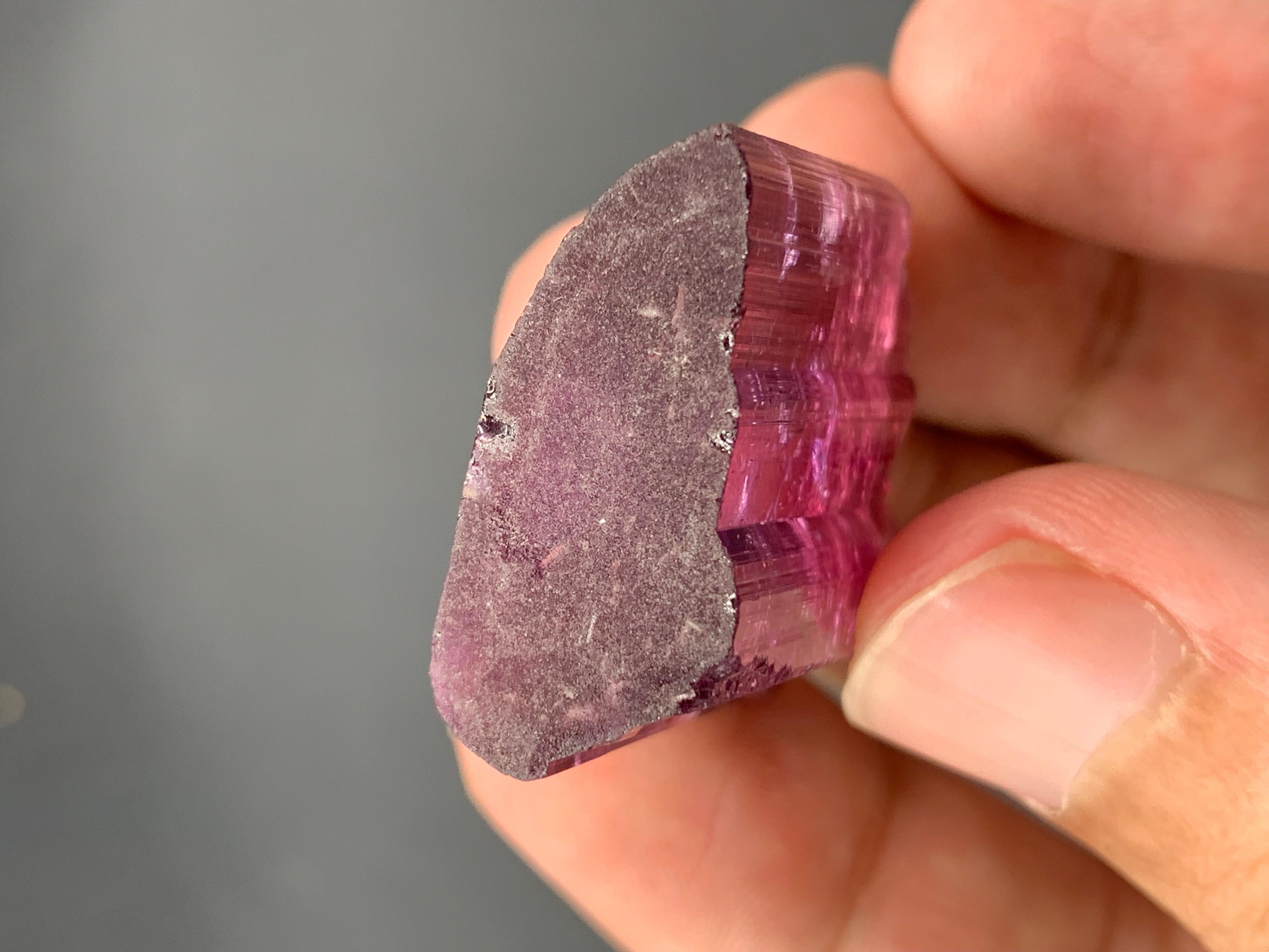 XXI secolo e contemporaneo 19,38 grammi di delizioso cristallo naturale di tormalina bicolore di Paprok, Afghanistan in vendita