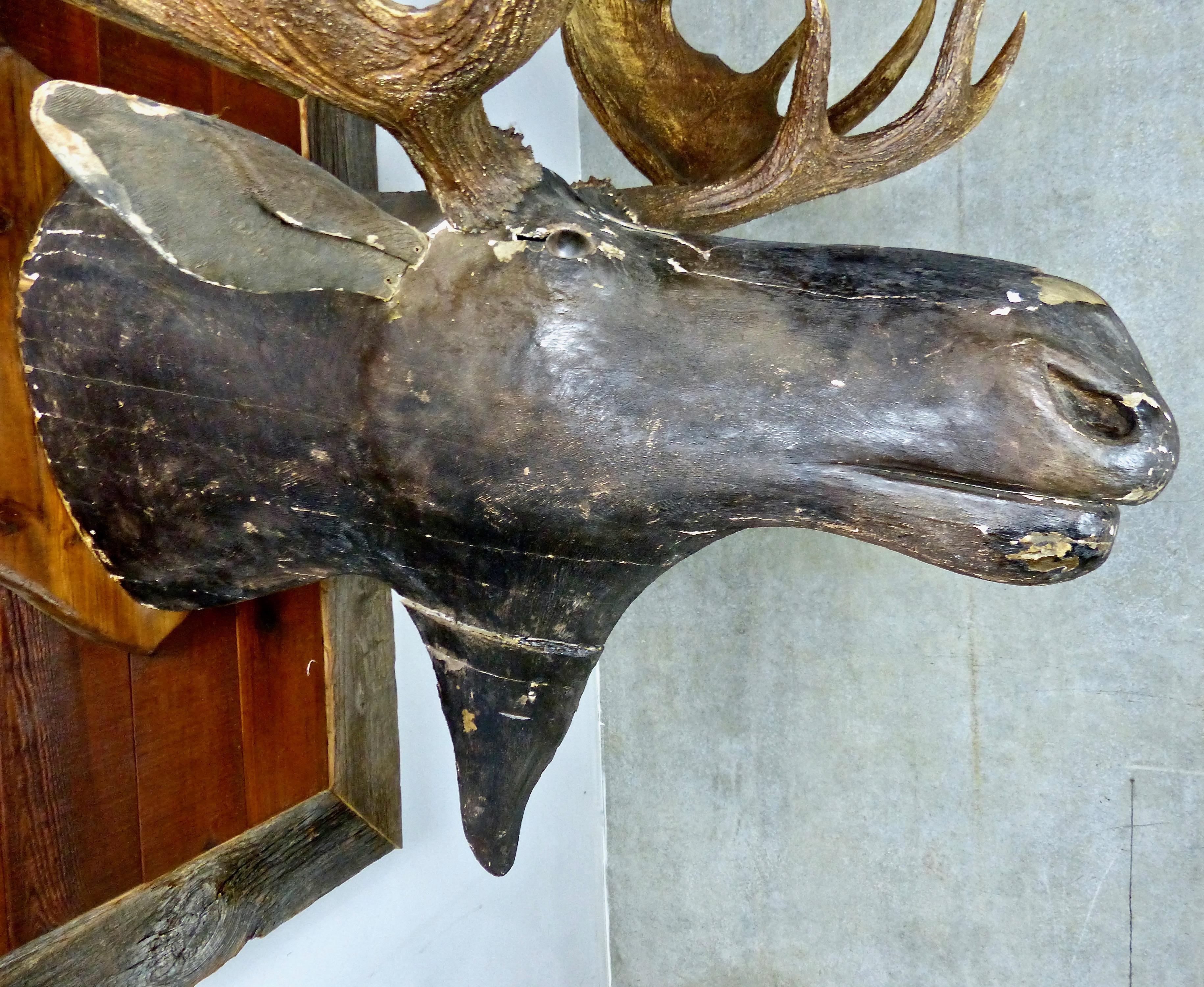 Hand carved wooden moose head with authentic, eight-point antlers. An excellent example of early Quebec Folk Art.
Attributed to Herbert Tomlinson Portneuf County
Mounted on a 48” x 36” wooden back board.
Dimensions: 48 H” x 51 W” x 40 D”.