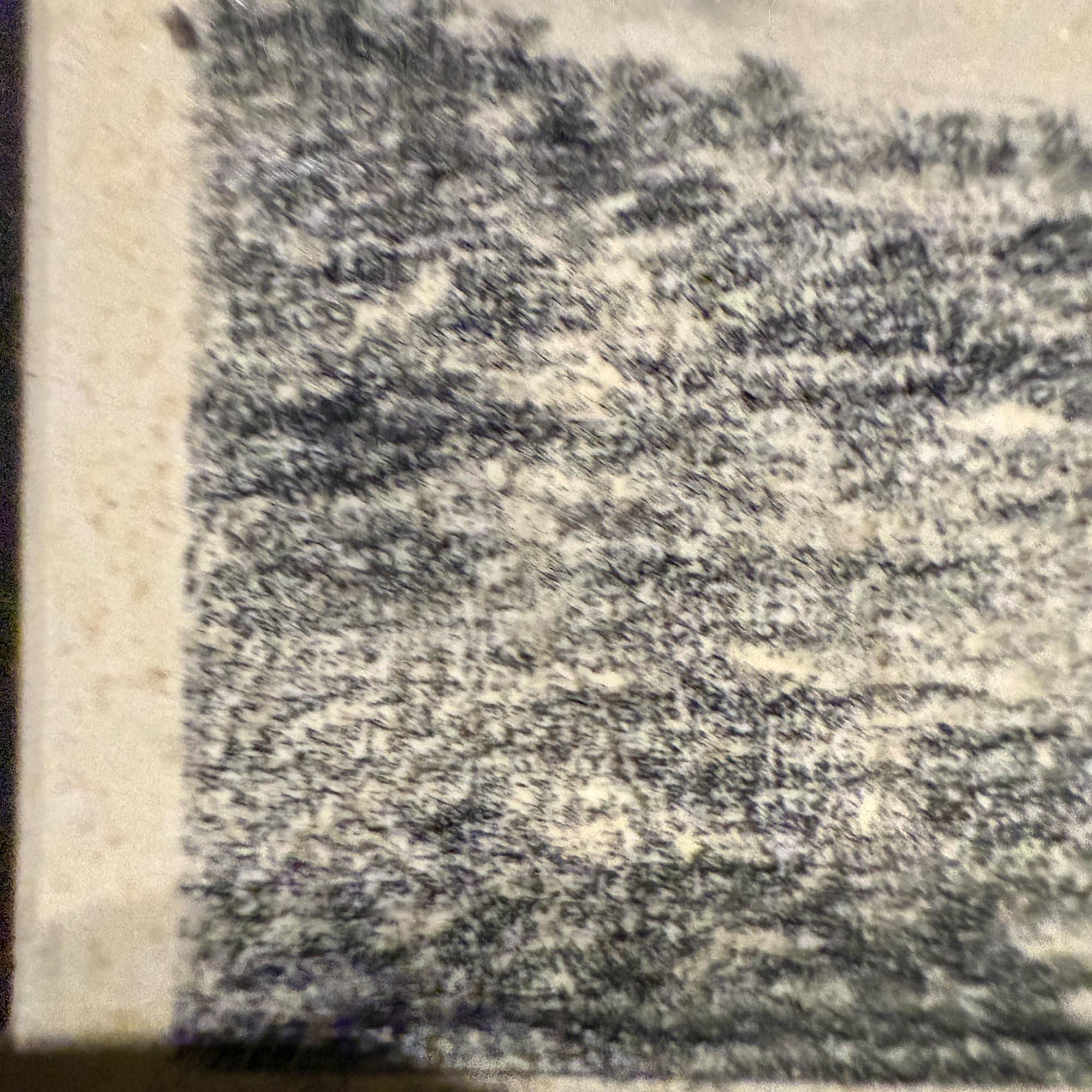 Original-Bleistift auf Papier, Fischer-Kunstwerk von Alfredo Zalce, Mexiko, 1940er Jahre im Angebot 4