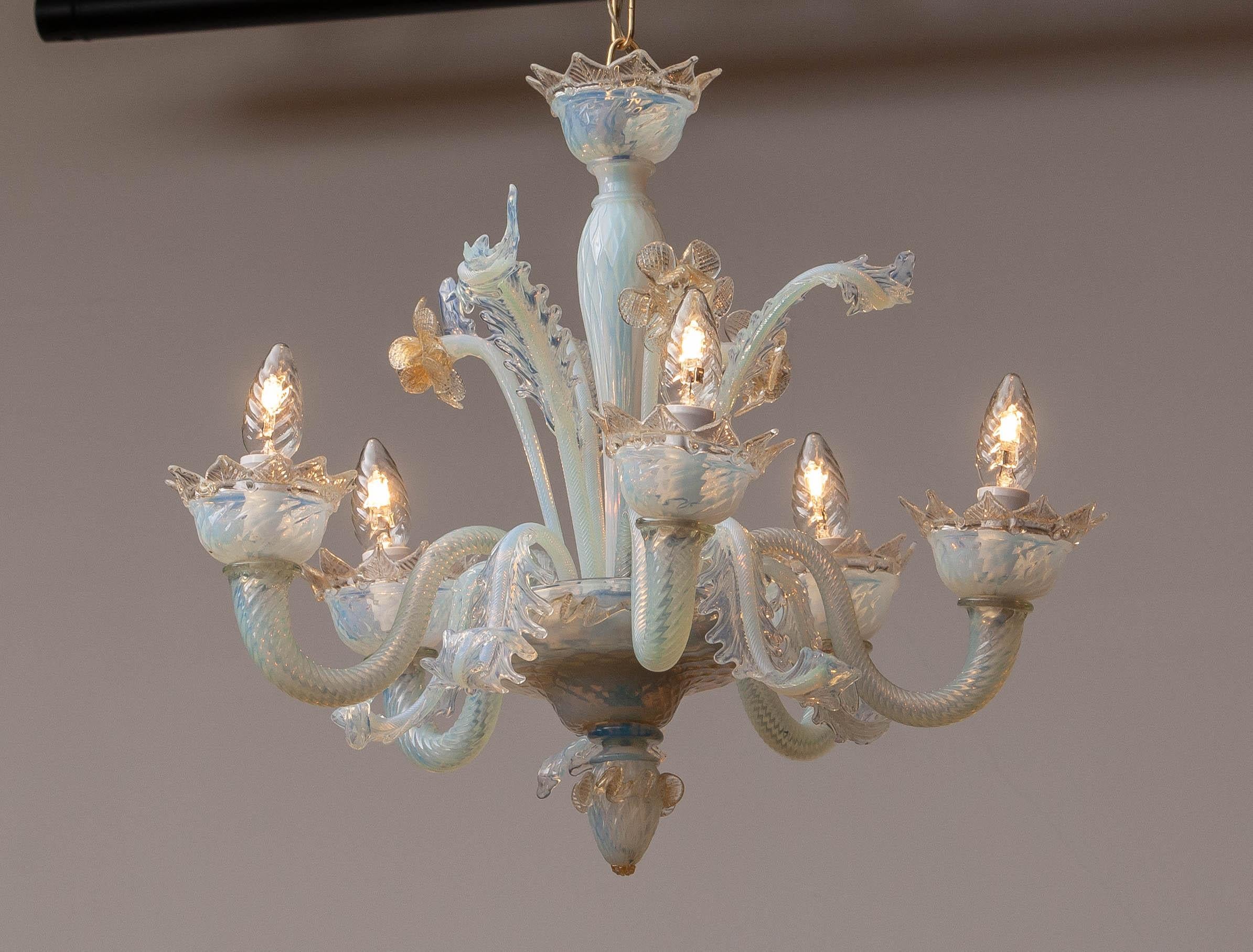 Absolutely beautiful Venetian Murano chandelier in a very rare light blue translucent opaline glass combined with gold which comes with five arms.
Designed by Barovier & Toso 