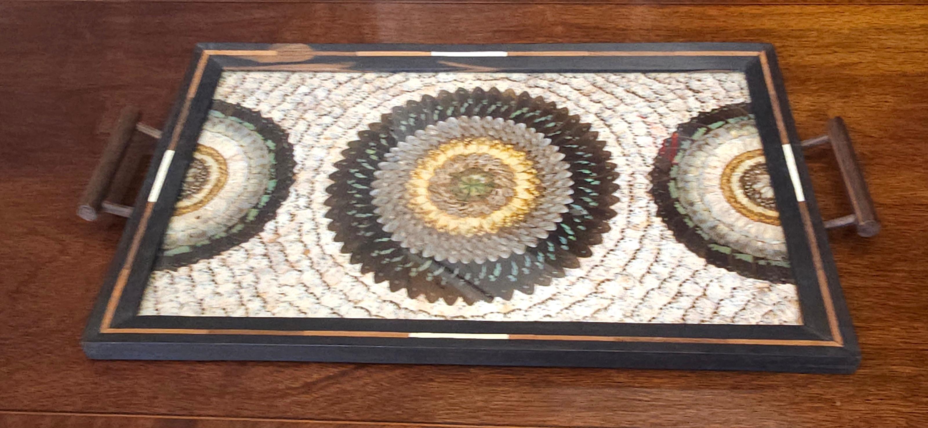 1940er Jahre brasilianischen echten Schmetterling Exemplare in Teakholz mit Knochen Inlays große Serviertablett. Glasplatte. Handgefertigt in Brasilien. Maße: 24,5