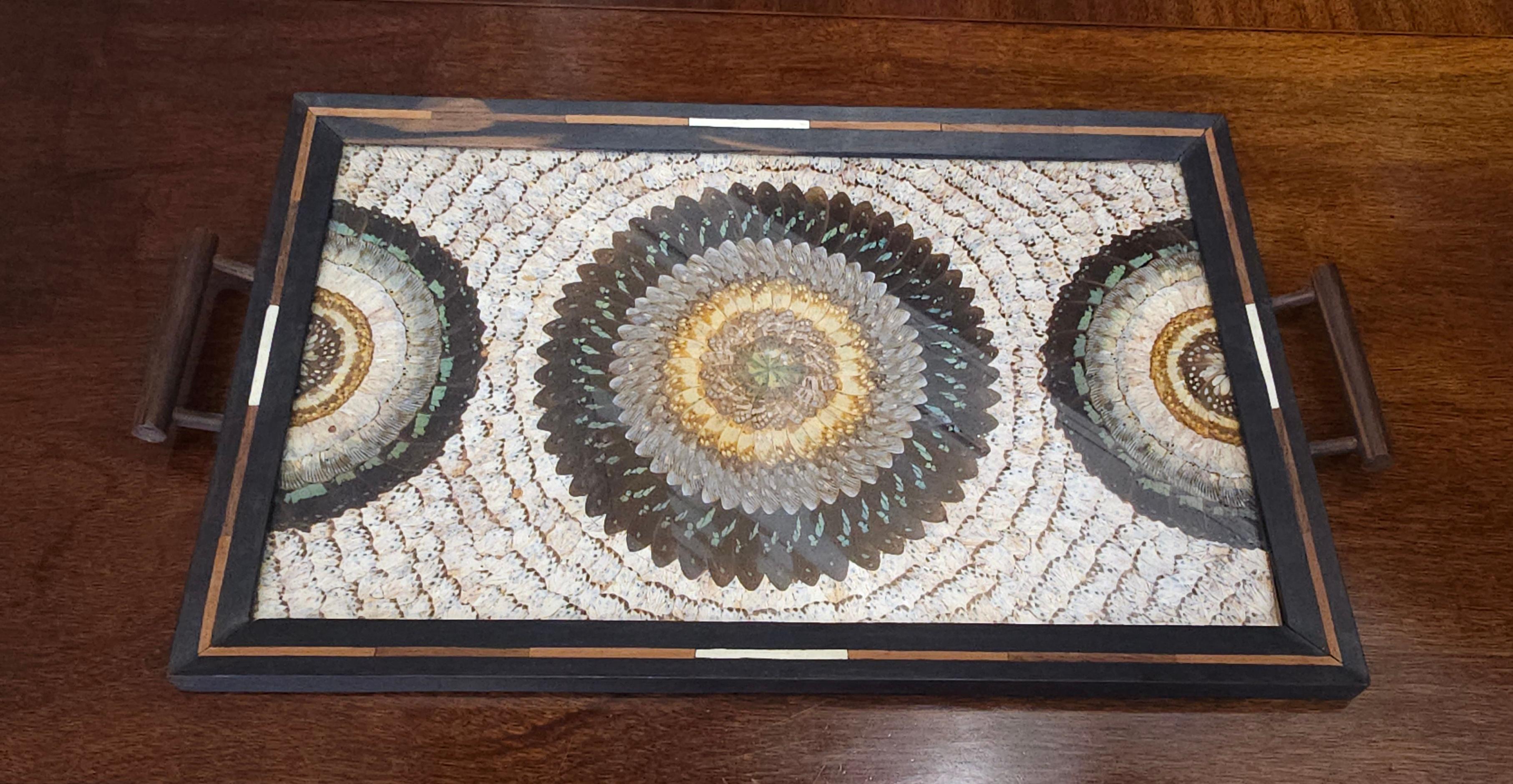 1940er brasilianische Schmetterlingsexemplare aus Teakholz mit Knochenintarsien Großes Serviertablett (Unbekannt) im Angebot