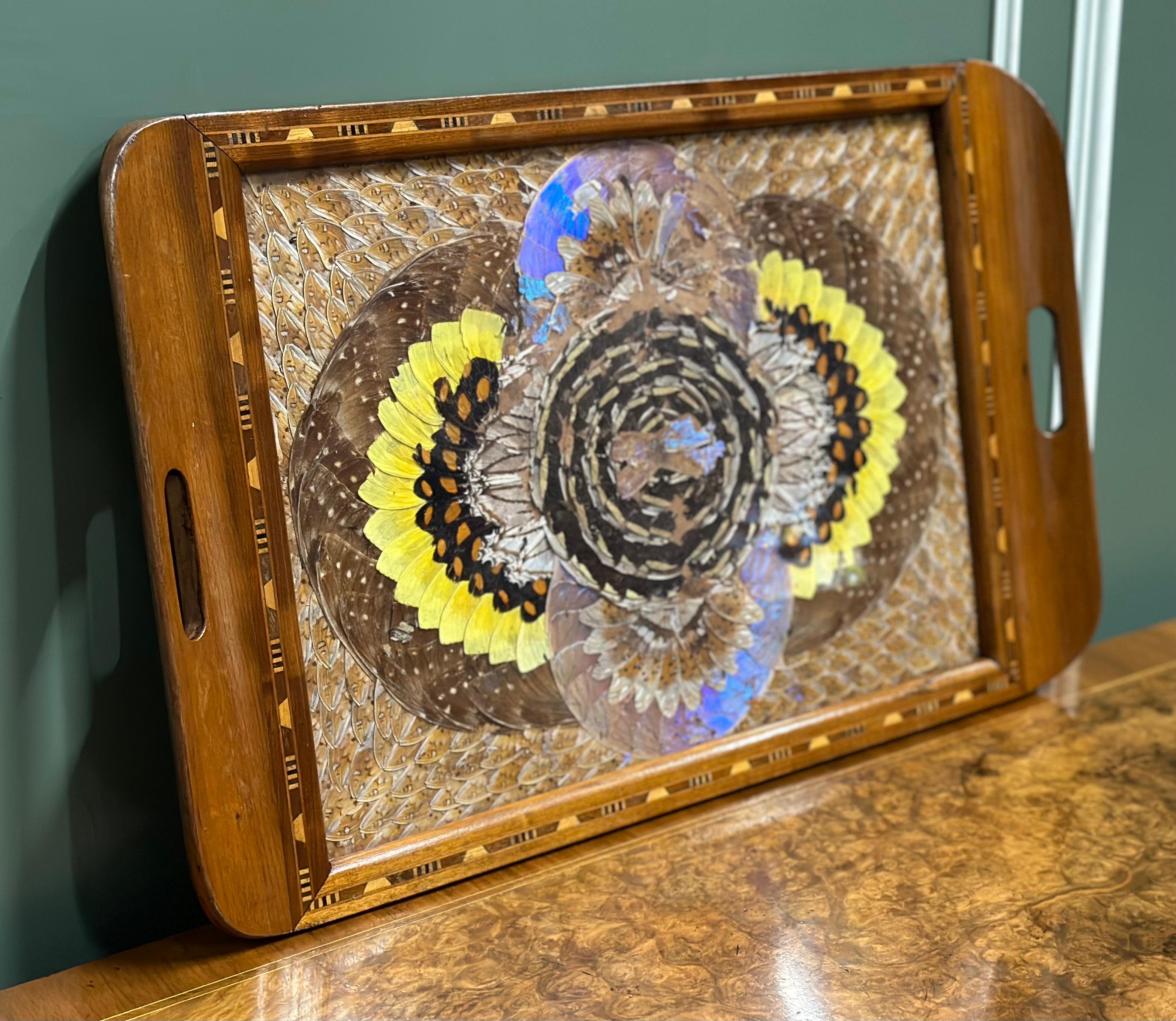 
We are excited to present this vintage Brazilian inlaid wood tray with real Morpho butterfly wings.

This vintage tray features a geometric pattern made from the wings of the brilliant iridescent Blue Morpho butterfly.
Turn the tray and watch the