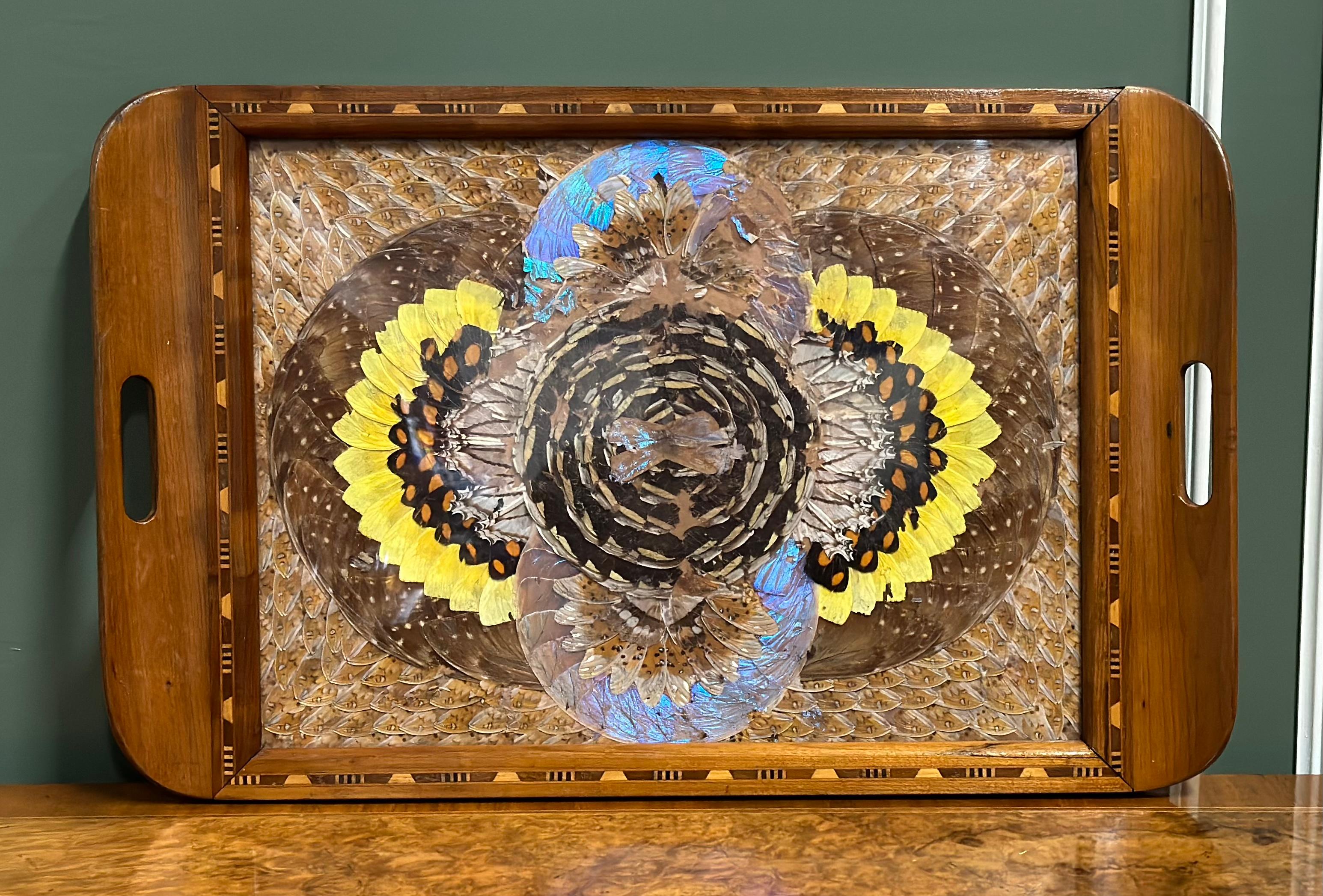 antique butterfly tray