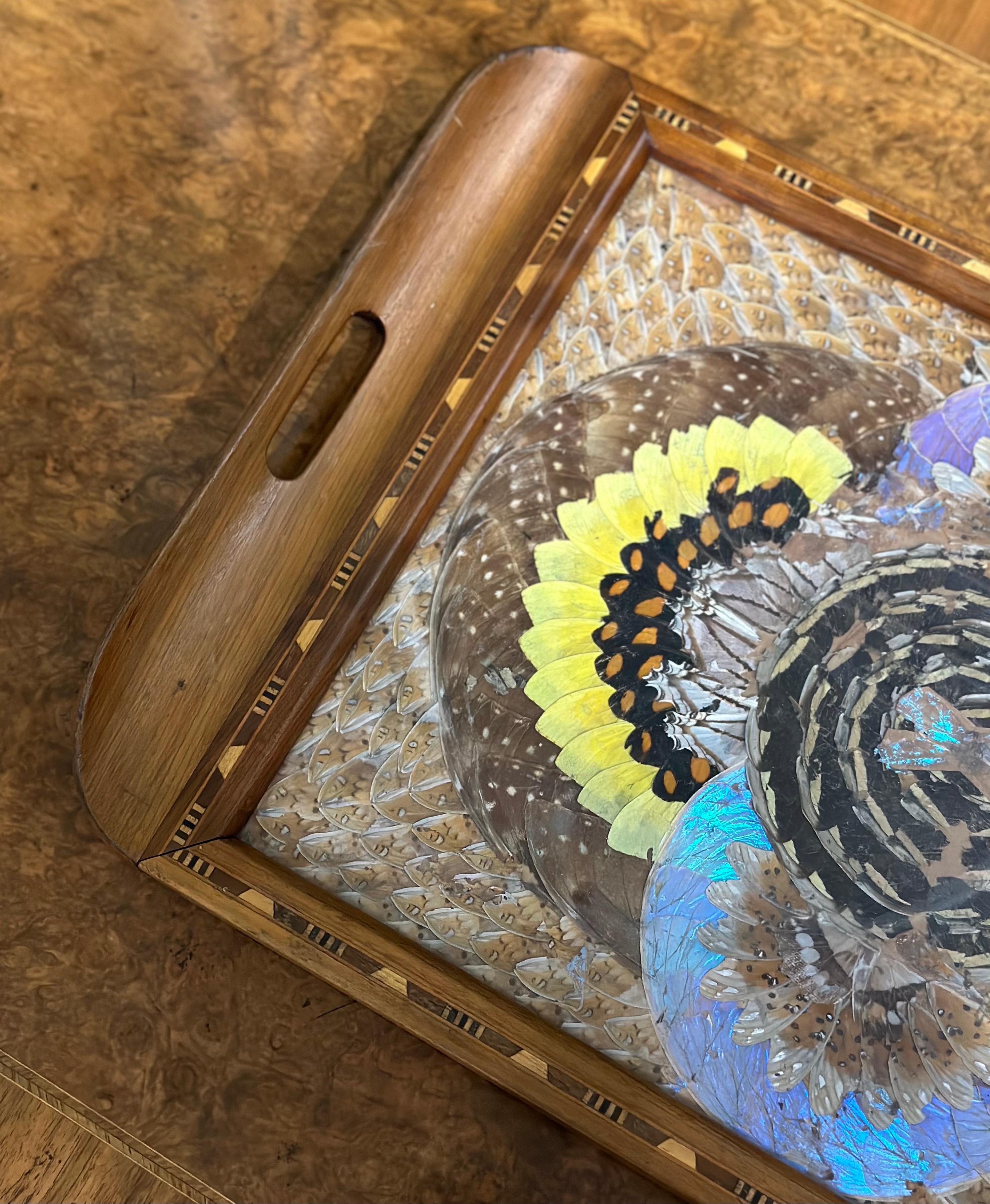 Walnut 1940'S BRAZILIAN INLAID WOOD TRAY WITH REAL MORPHO BUTTERFLY WiNGS For Sale