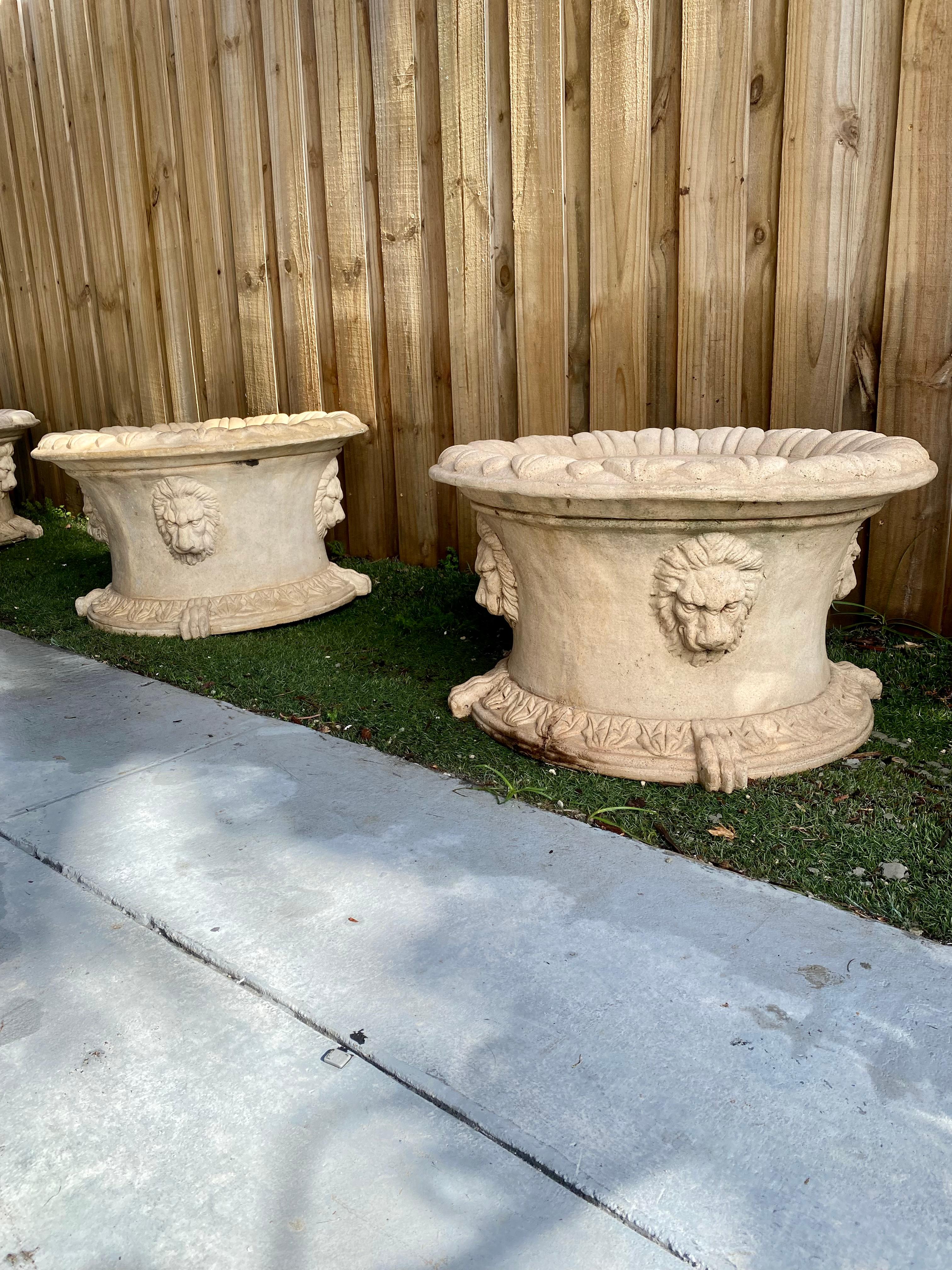 Italian 1940s Beige Cast Stone Large Round Neoclassical Style Lion Planters, Set of 4 For Sale