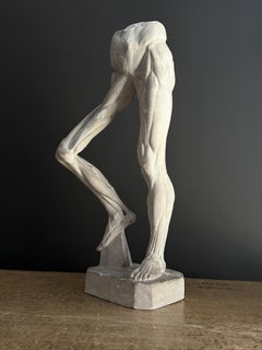 1940s Écorché Vintage Anatomical Leg Model, Brussels Academic Workshop