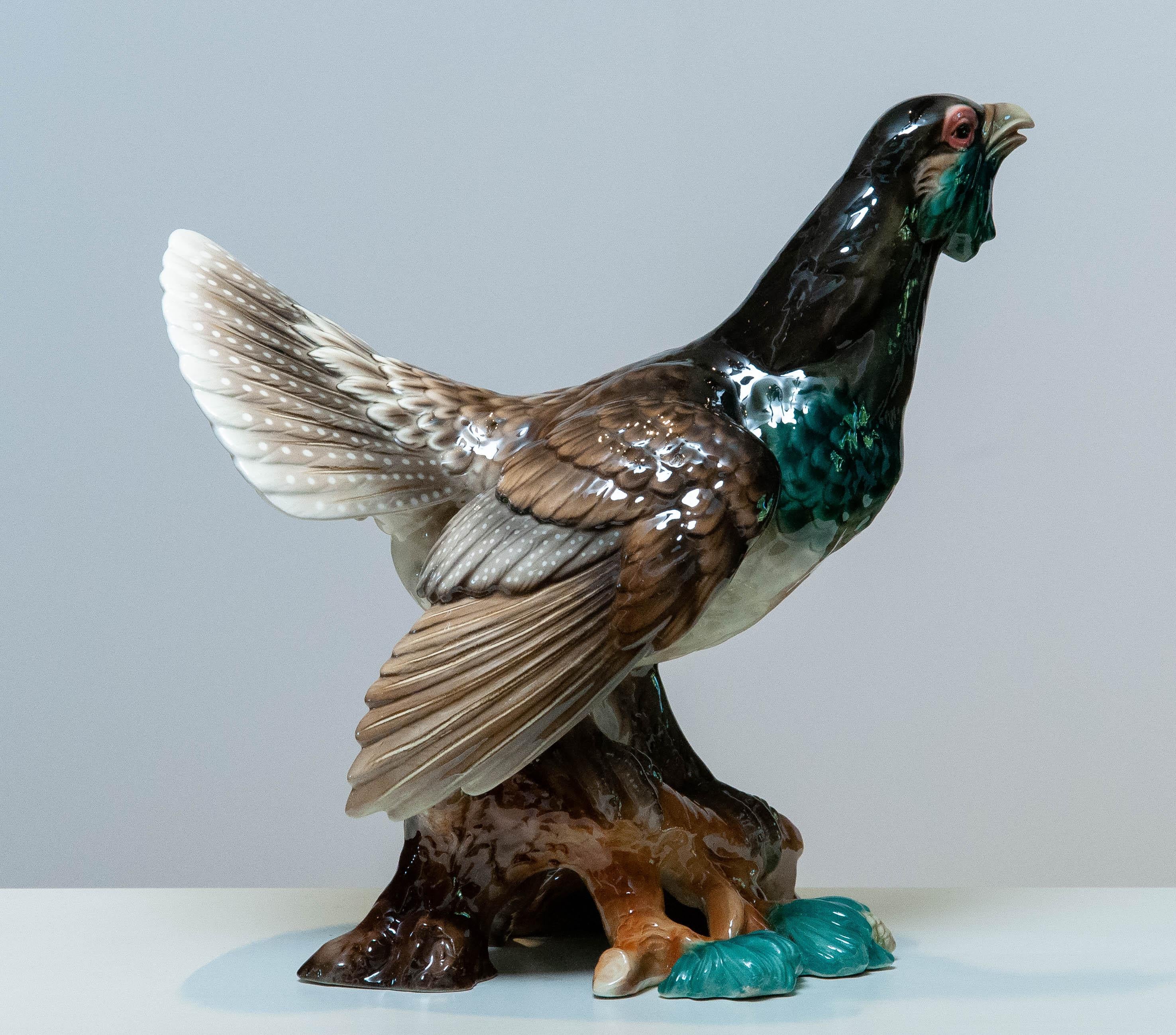 Porcelain pheasant sculpture designed by Rudolf Chocholka for Keramos Vienna. This finely crafted figure captures the bird in a dynamic stance with wings slightly raised and beak open in call. Richly hand-painted in naturalistic tones with glossy