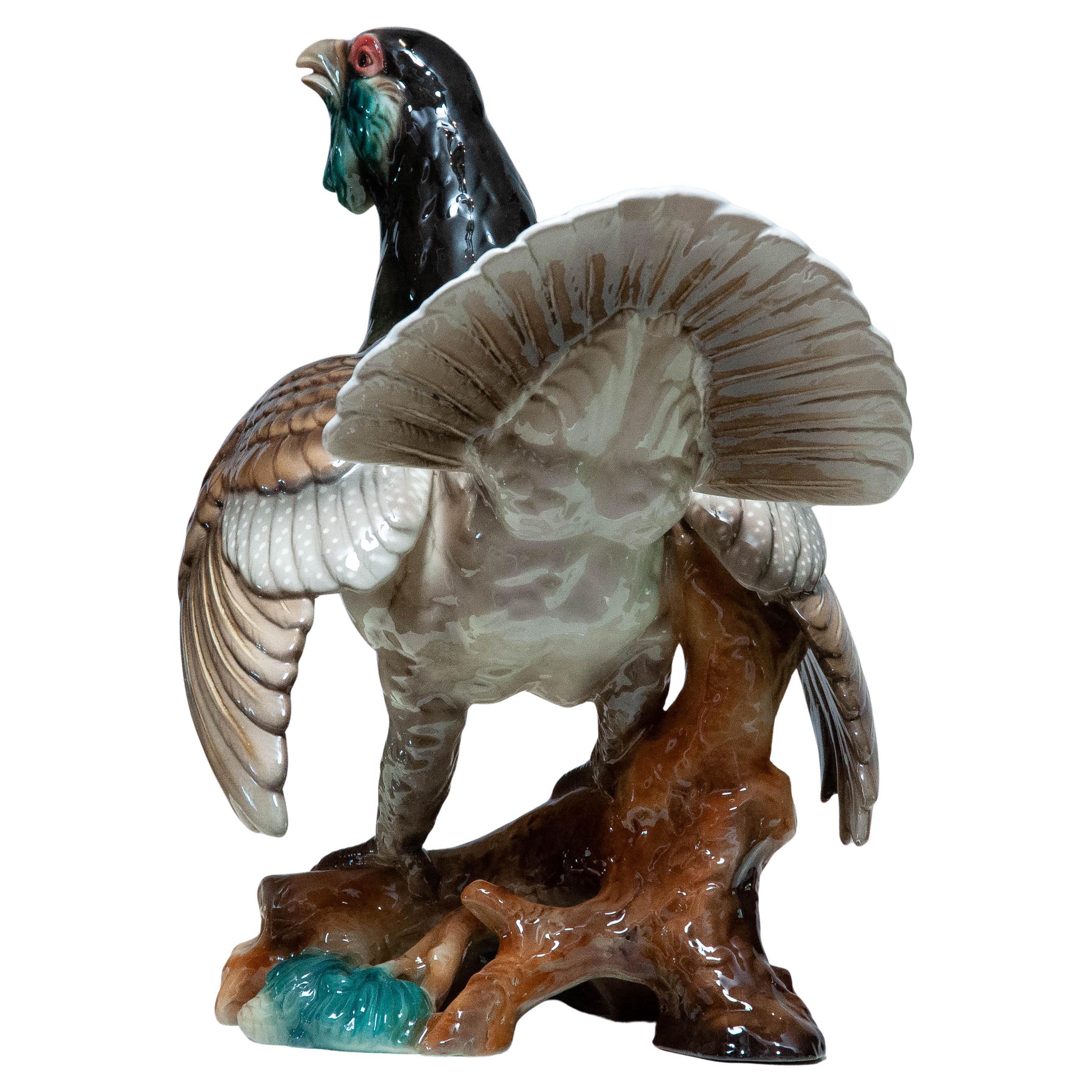Austriaco 1940's Extra Large Porcelain Pheasant Made By Rudolf Chocholka At Keramos Vienna in vendita
