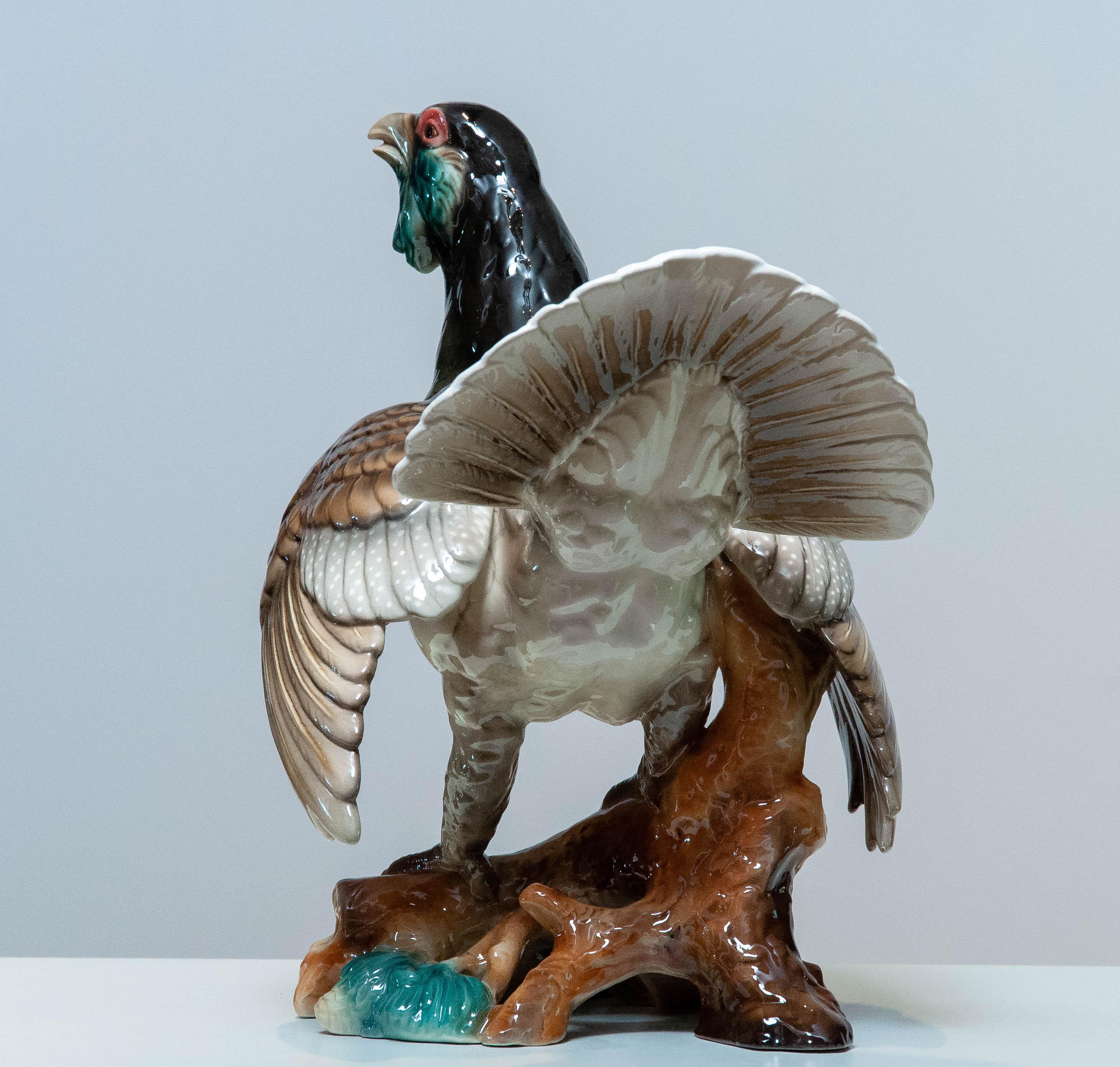 1940's Extra Large Porcelain Pheasant Made By Rudolf Chocholka At Keramos Vienna In condizioni buone in vendita a Silvolde, Gelderland
