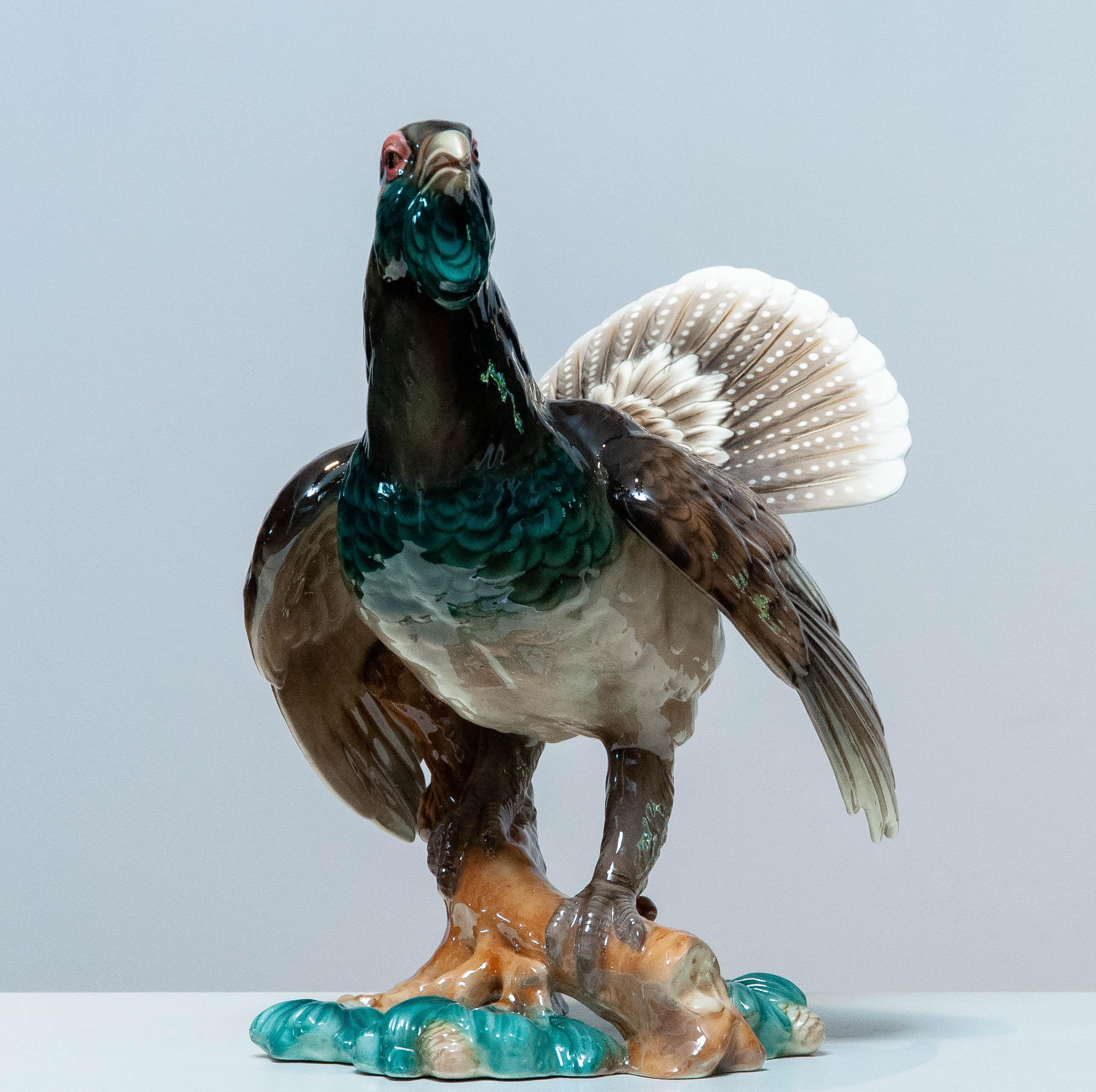 1940's Extra Large Porcelain Pheasant Made By Rudolf Chocholka At Keramos Vienna In Excellent Condition For Sale In Silvolde, Gelderland