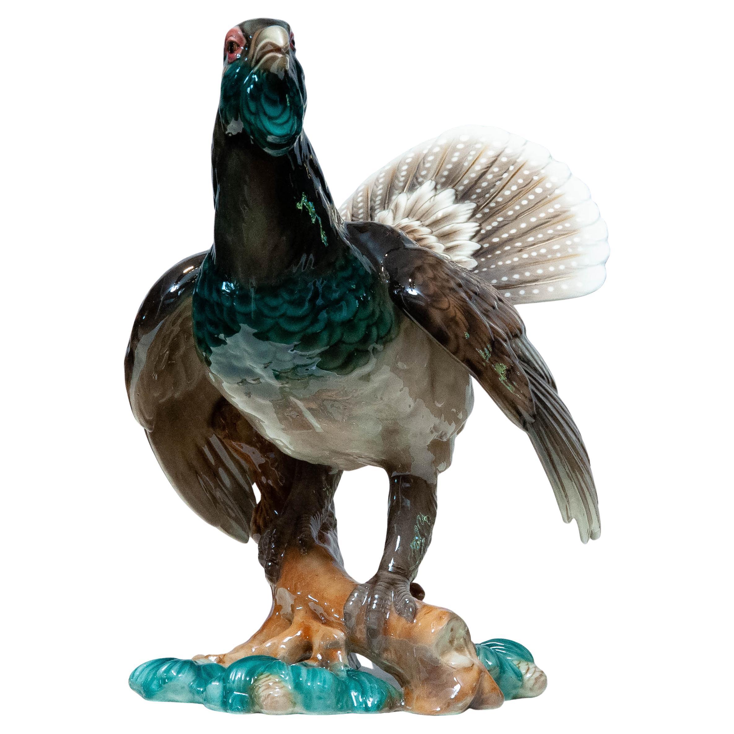 1940's Extra Large Porcelain Pheasant Made By Rudolf Chocholka At Keramos Vienna
