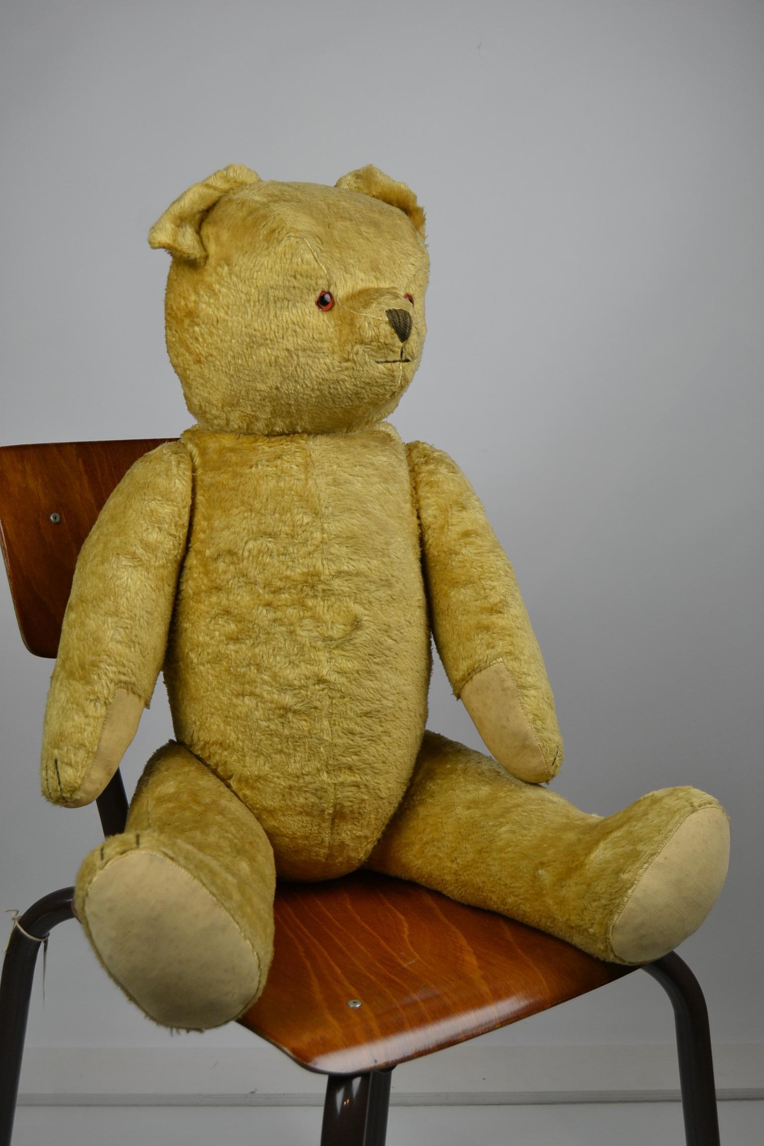 growler bear