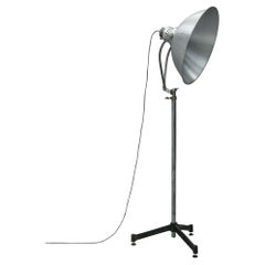 1940s Hungarian Photographic Studio Floor Lamp