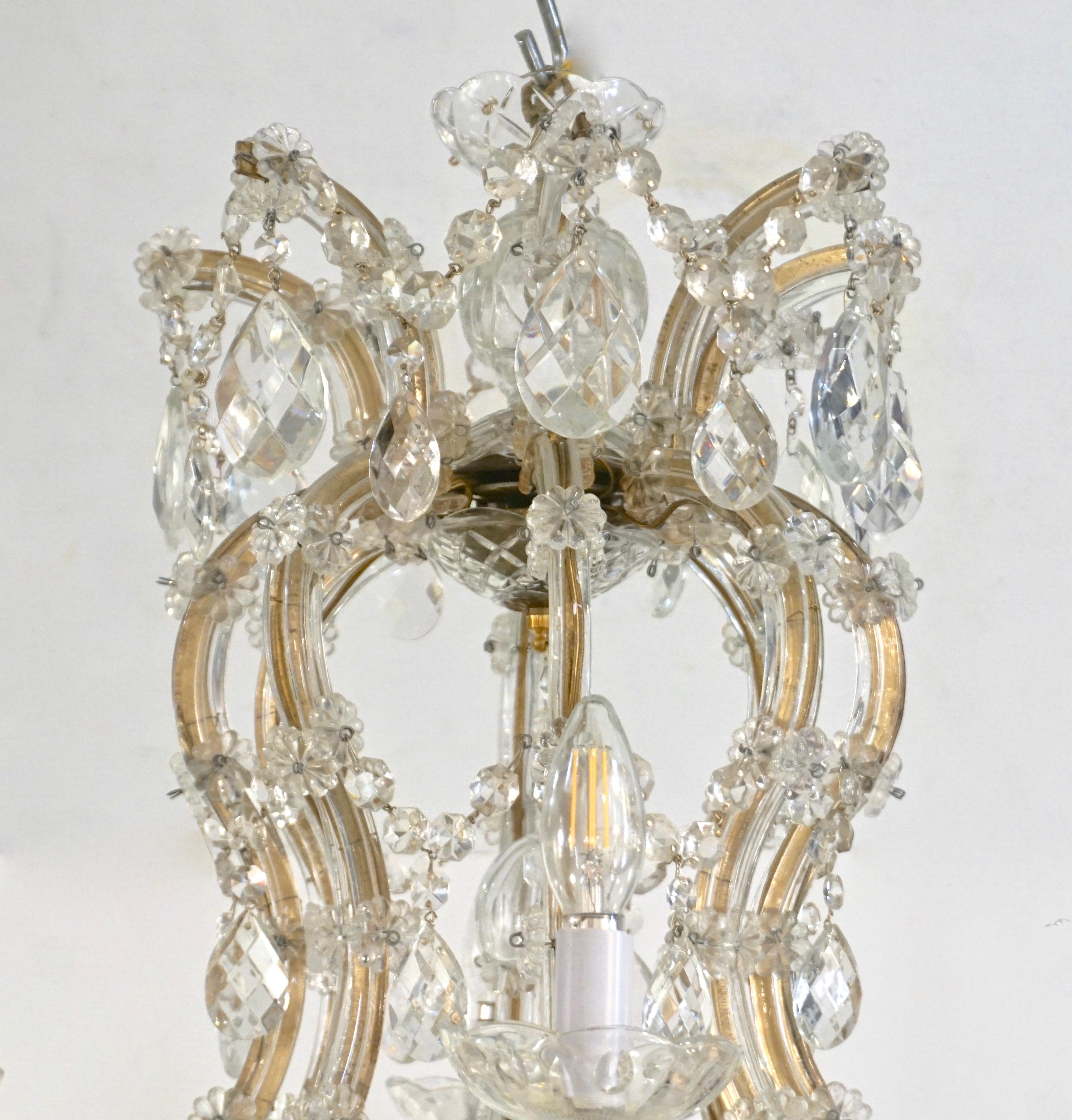 1940s Italian Antique Regency Revival Crystal 12-Light Gilded Chandelier 7