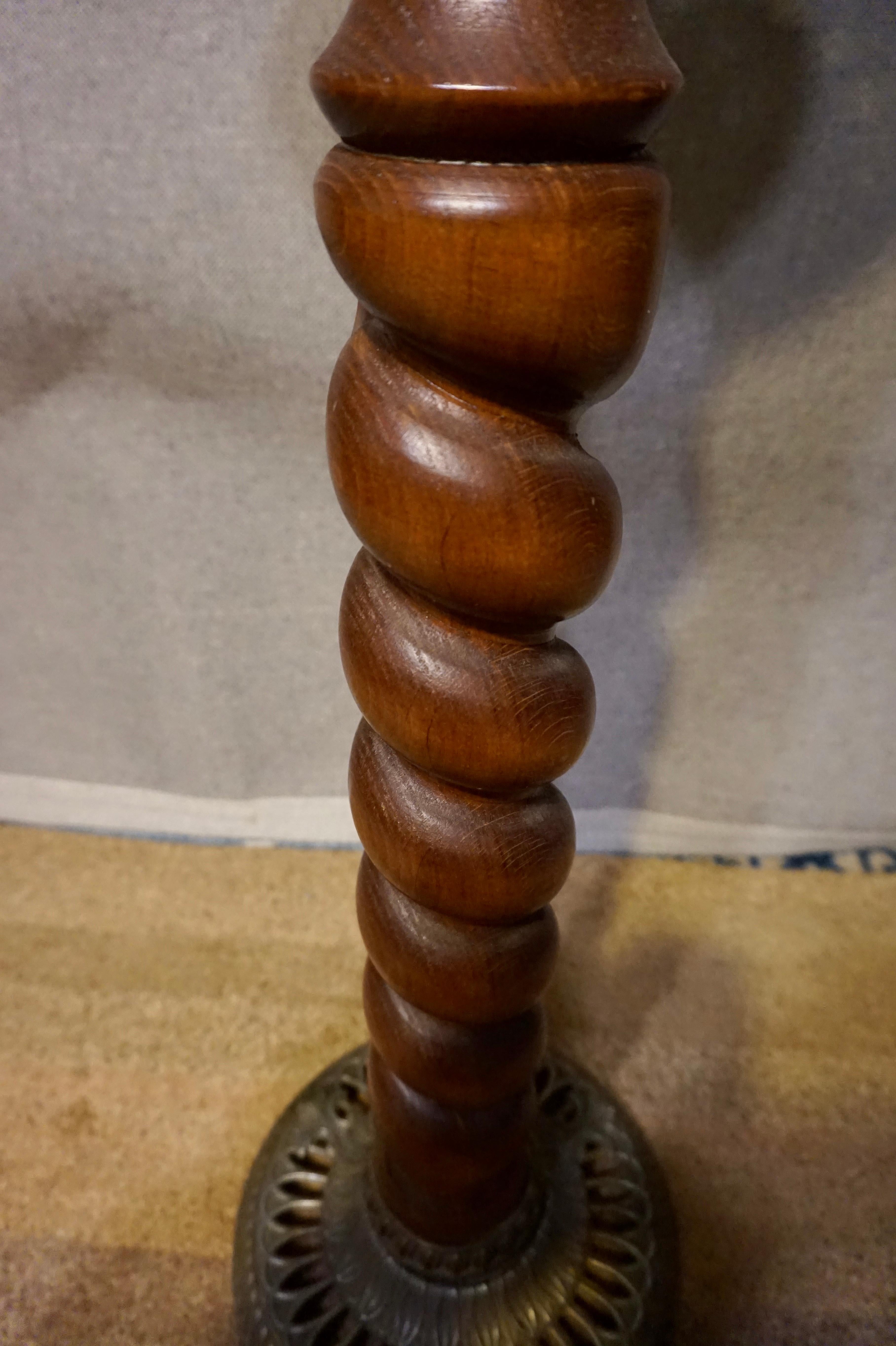 switch plant stand