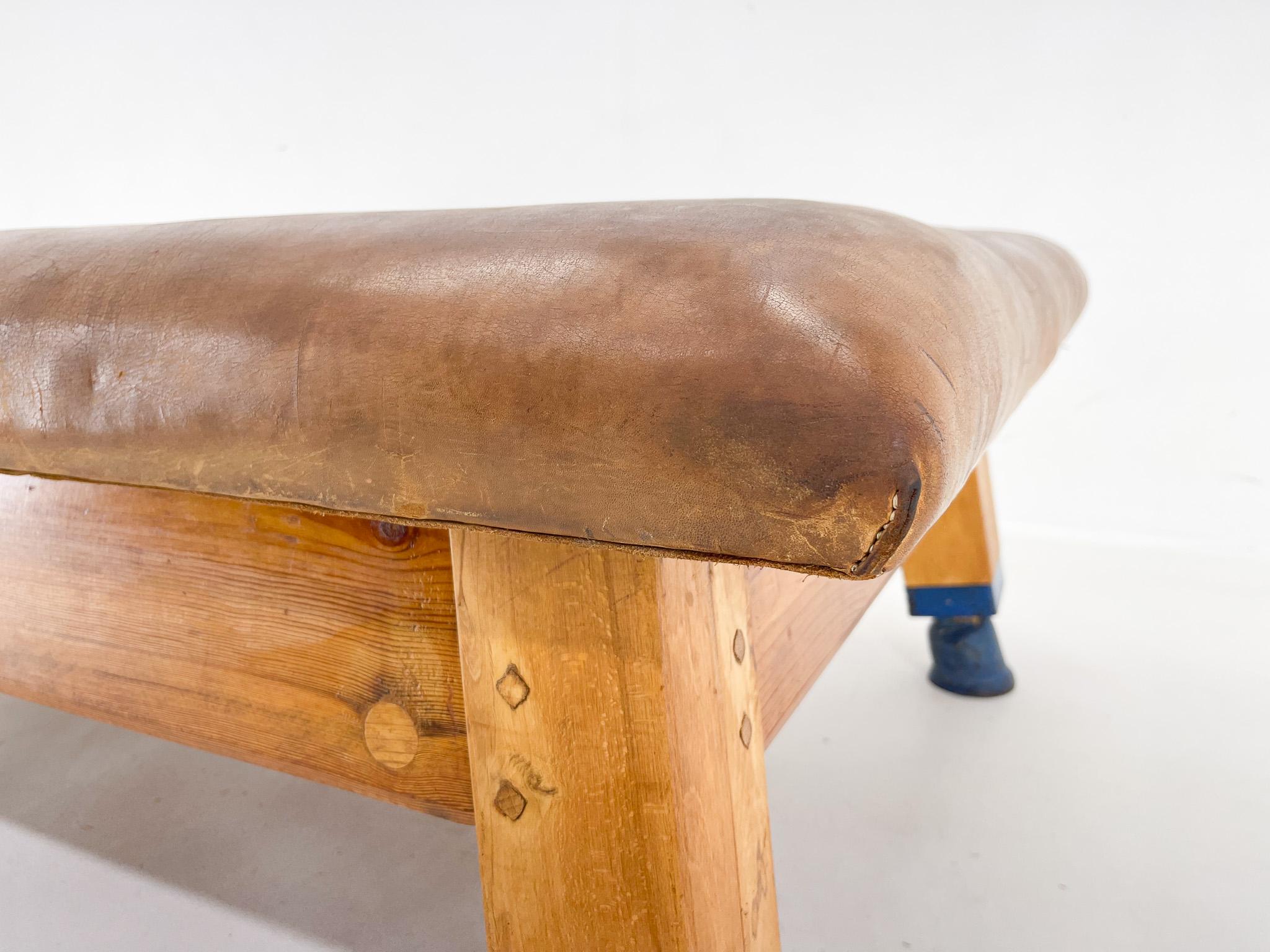 1940s Large Leather & Wood Gym Bench, Czechoslovakia For Sale 3