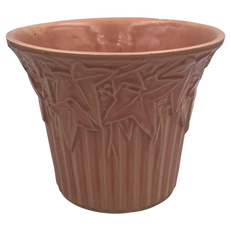 pots for mini succulents Succulents Set of 6 in Ceramic Mini Pot Madrid