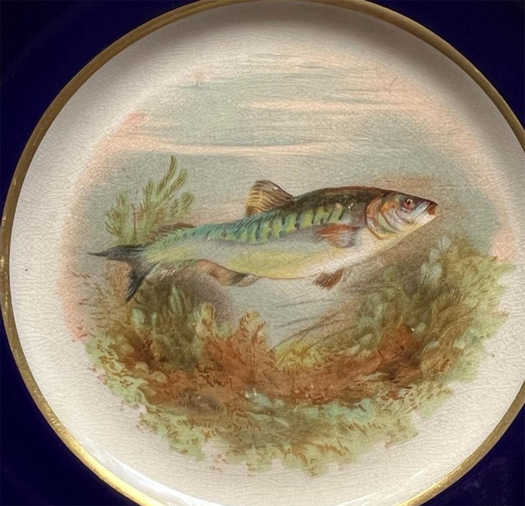 Ein einzelner englischer Ambassador Ware Fischteller. Teller, der einen von vier verschiedenen Fischen auf einem antik-weißen Hintergrund mit marineblauem Rand zeigt, gefolgt von einem antik-weißen Rand.

Ambassador Ware wurde von Simpsons Ltd. in
