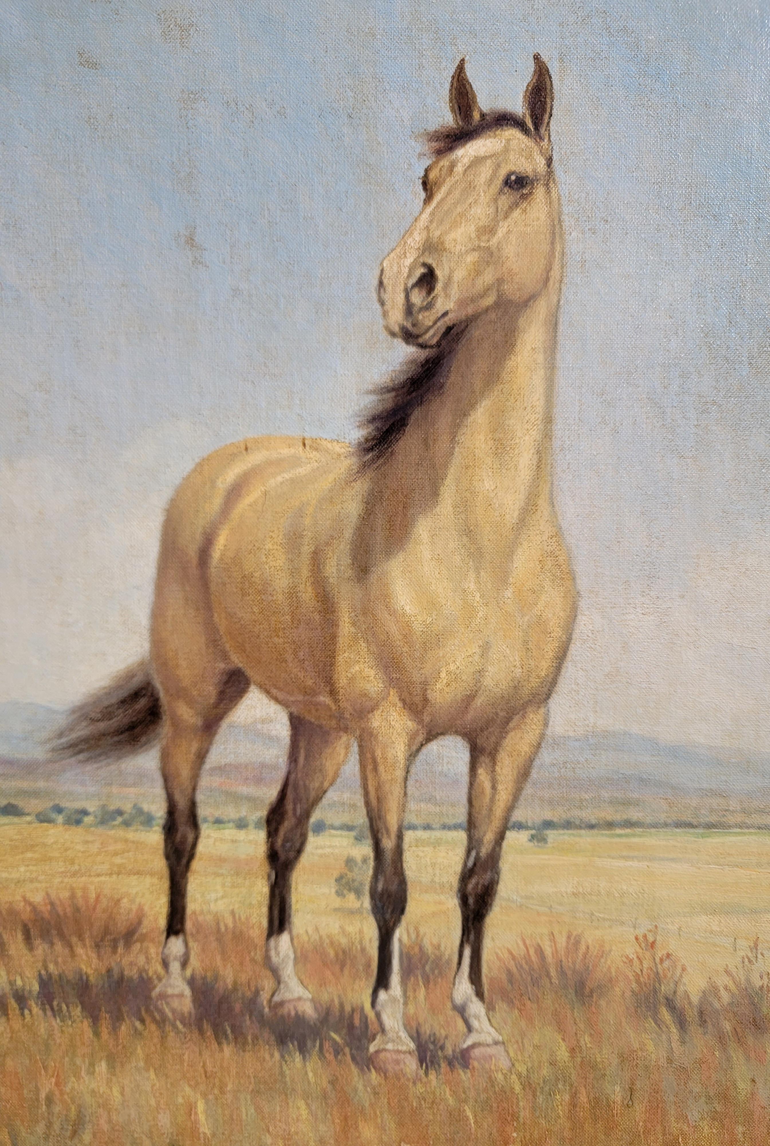 Canvas 1940s Oil Painting of White Horse by Grace Bassett For Sale