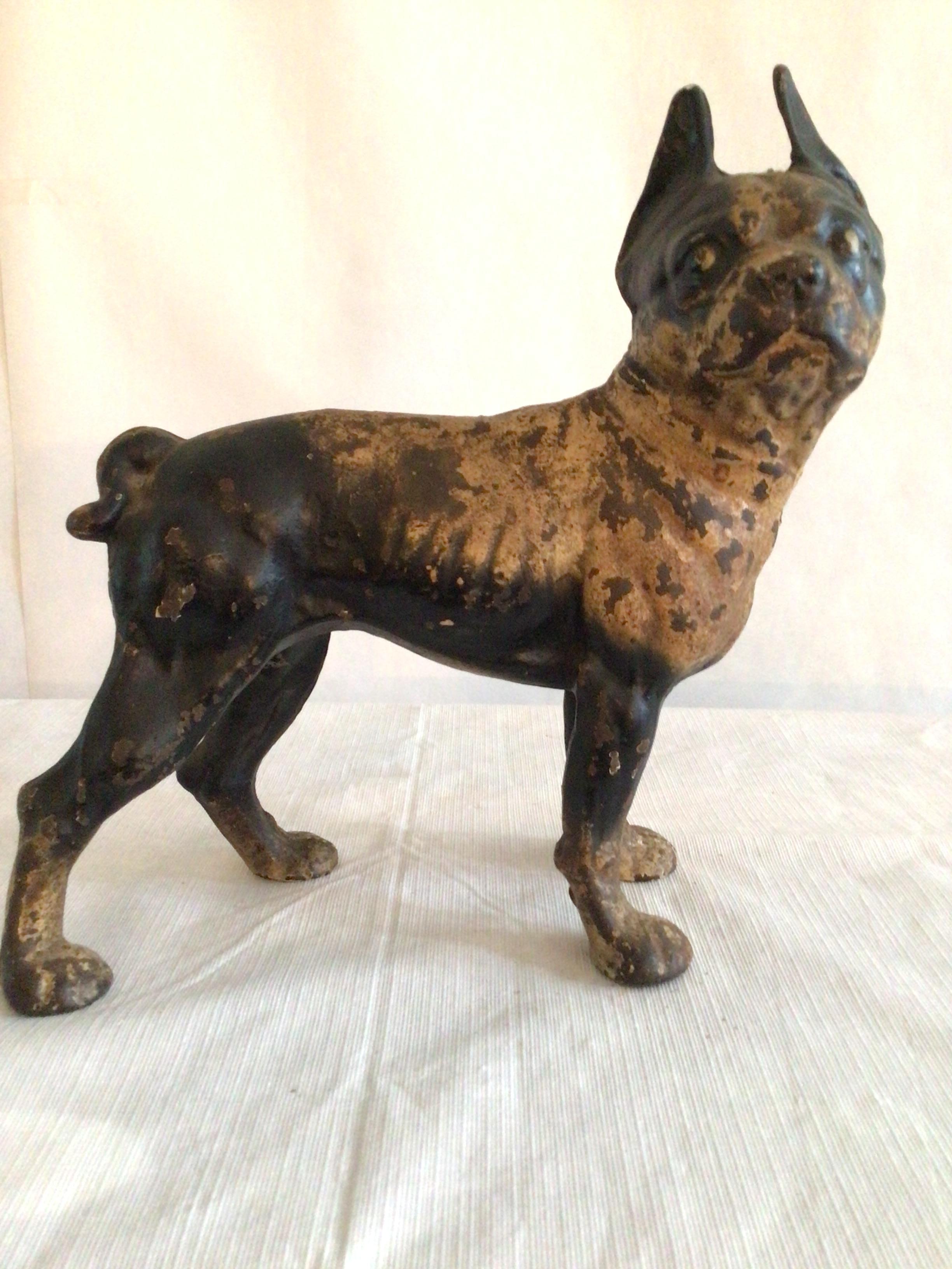 1940s painted cast iron metal sculpture of Boston Terrier Dog is nicely patinated adding depth to the piece.