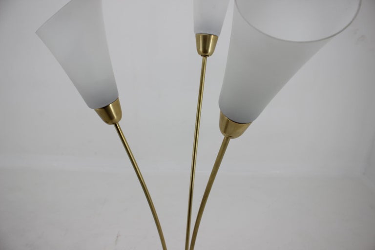 Mid-20th Century 1940s Pair of Art Deco Floor Lamps, Czechoslovakia For Sale
